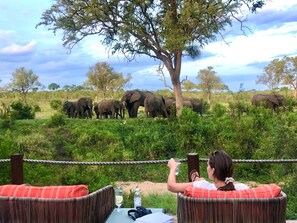 Game viewing