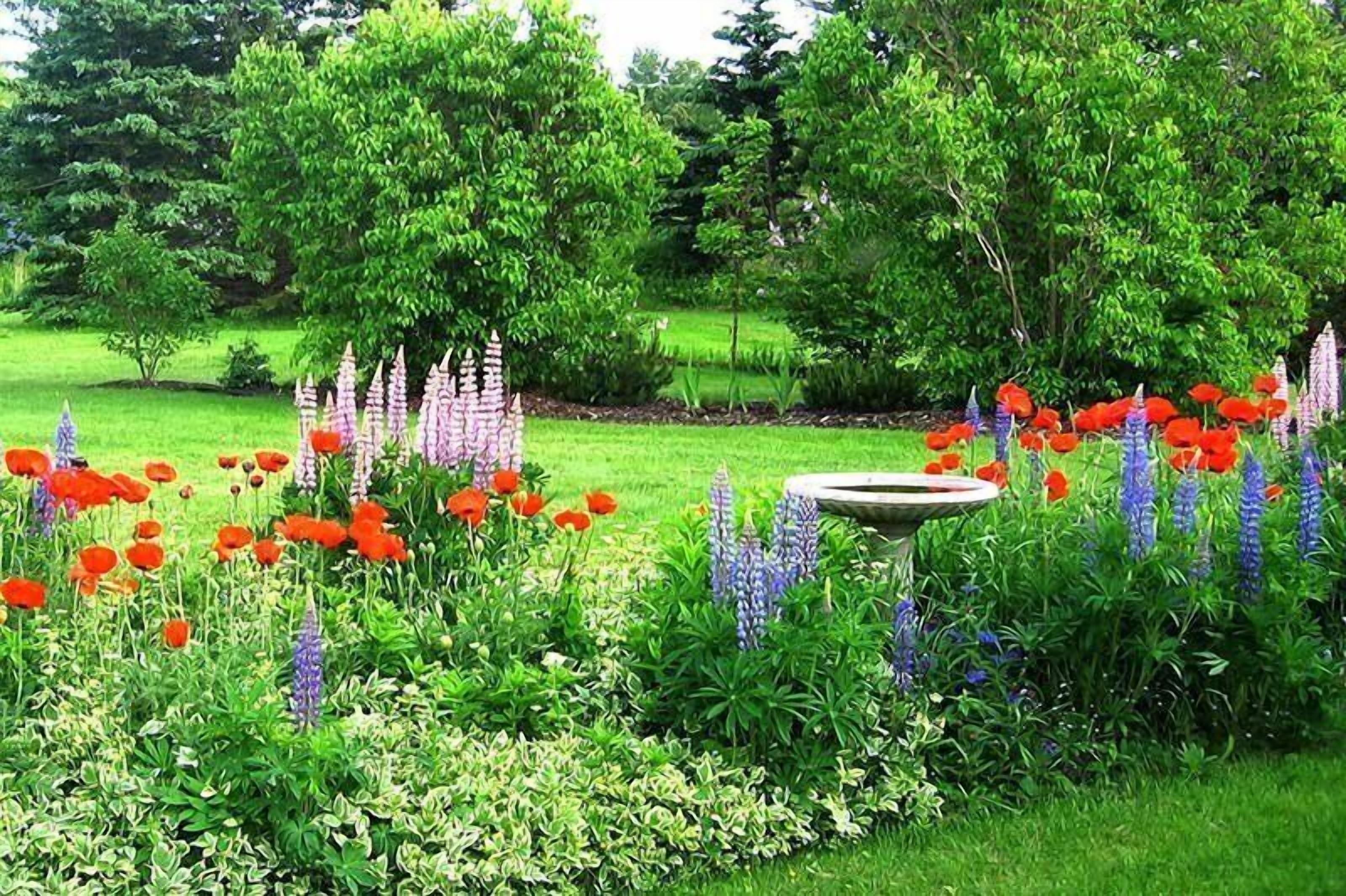 Un jardin agrémenté de différentes sortes de fleurs, d’un abreuvoir pour oiseaux et d’arbres.