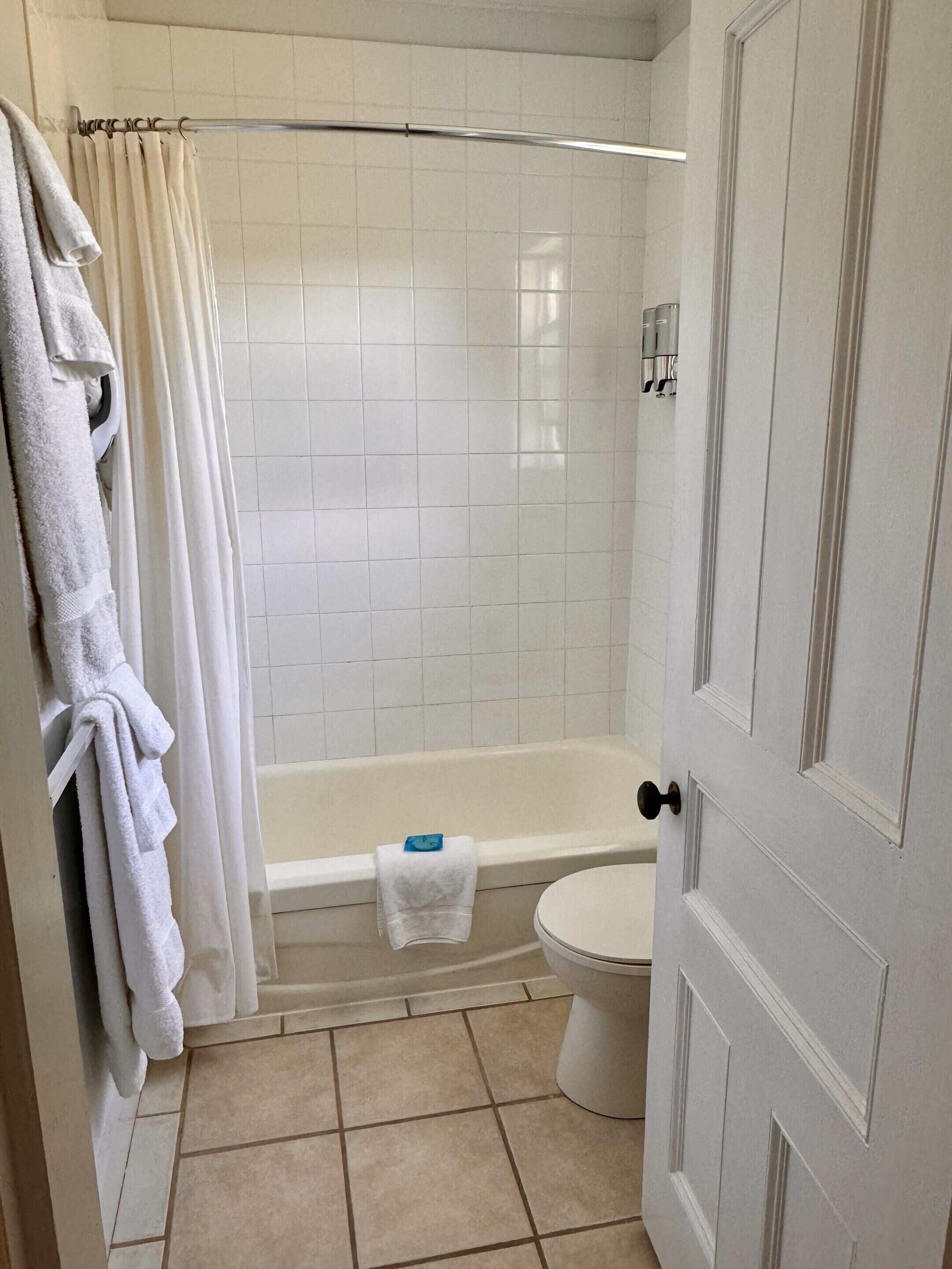 A bathroom with a bathtub, toilet, and a shower curtain.