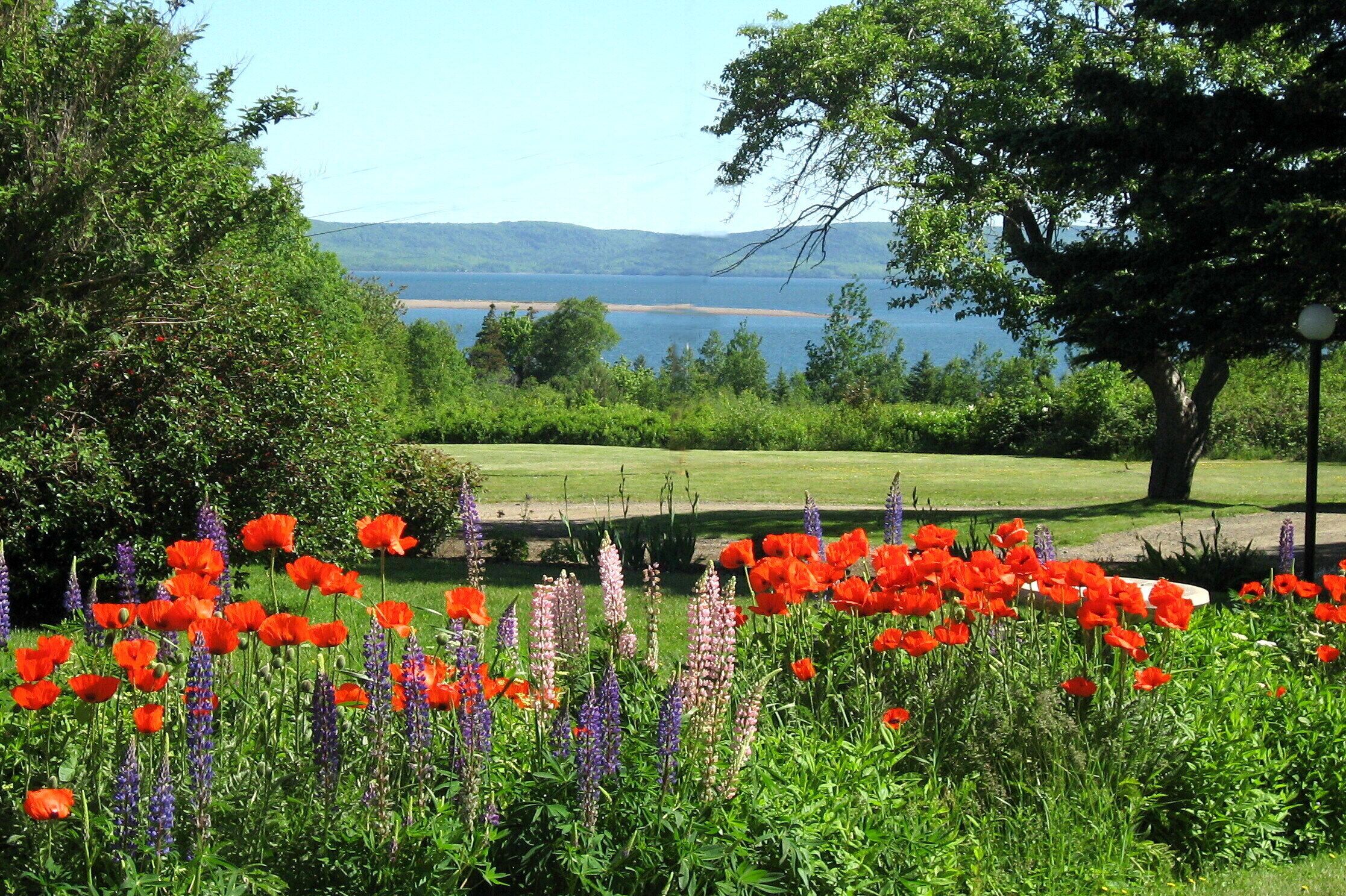 Jardin