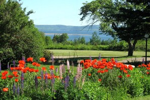Garden - The Harbourview Inn (Smiths Cove)