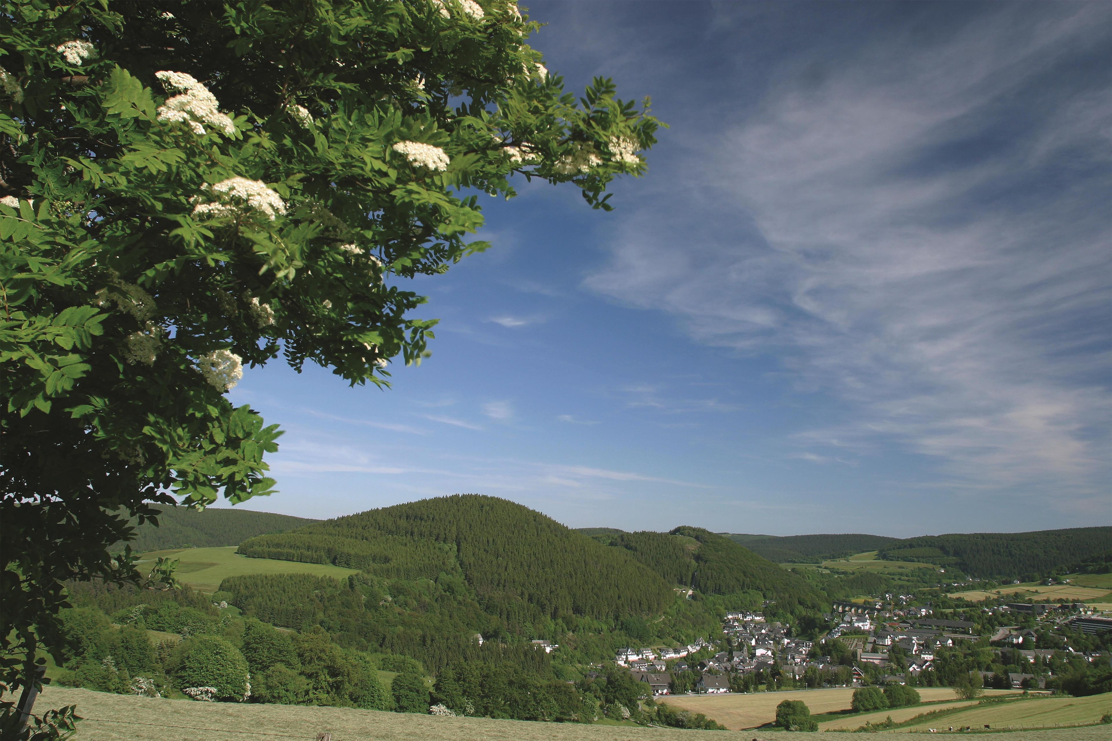 A rural landscape with a village nestled among rolling hills and dense forests.