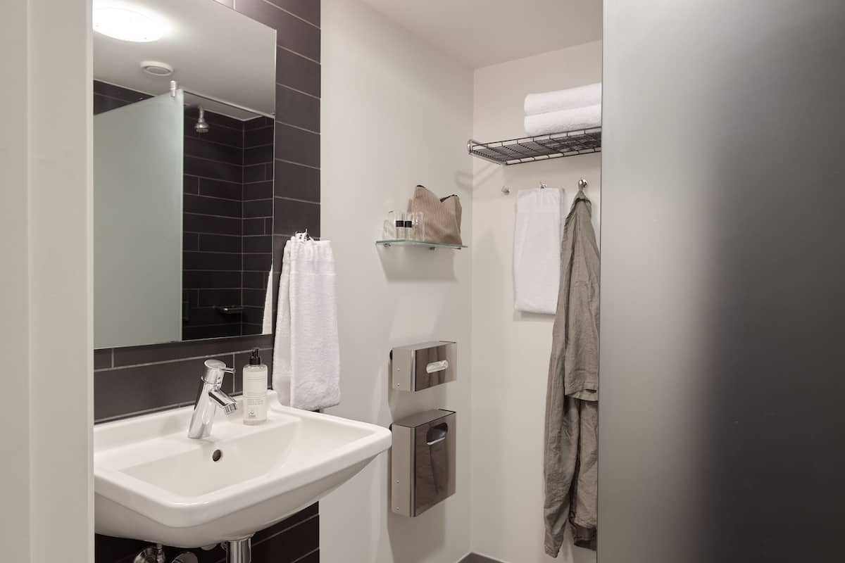 shower, free toiletries, hair dryer, towels