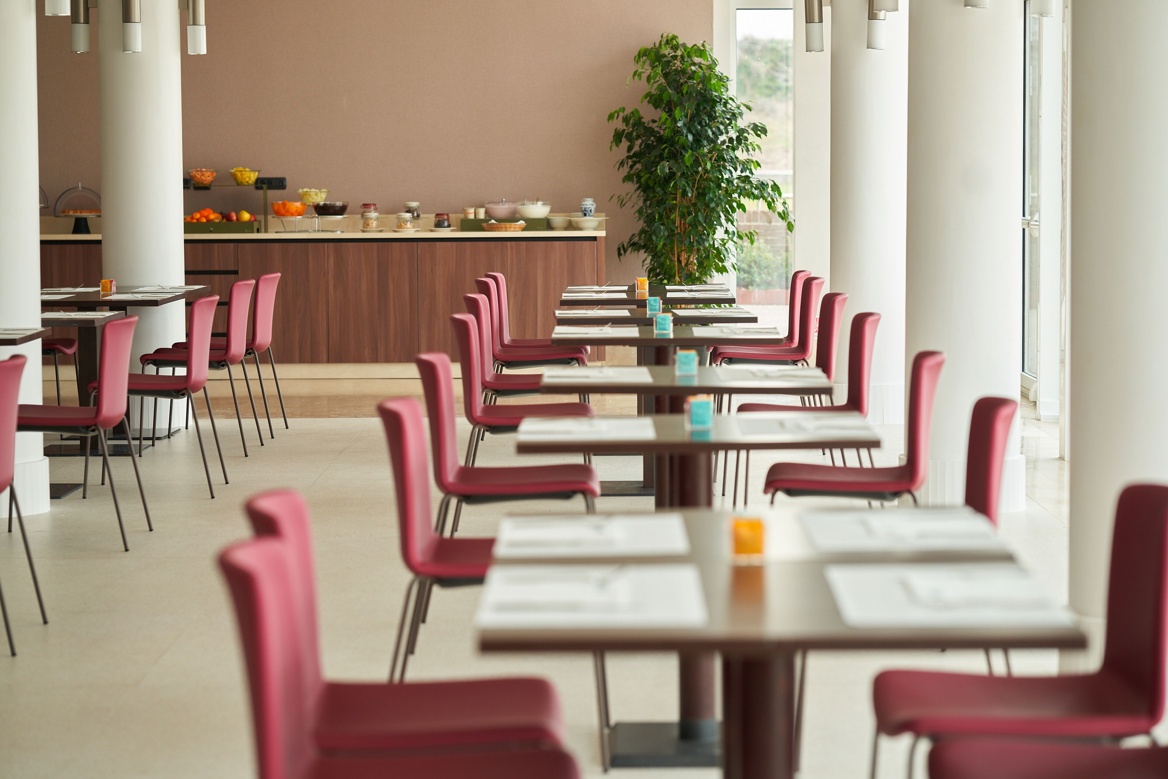 A dining area with multiple tables and chairs, a counter with food items, and a large plant.