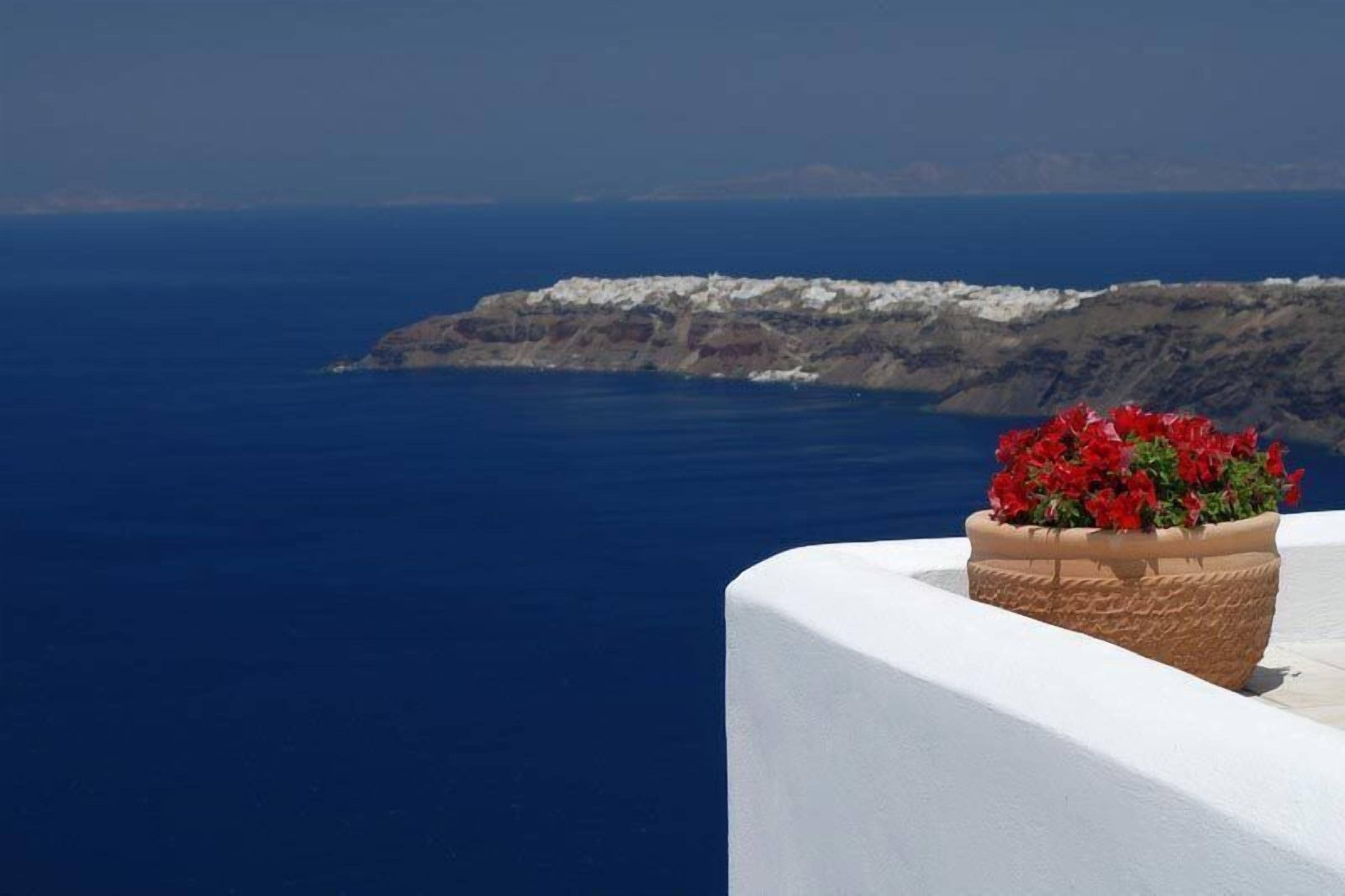 Photo - Absolute Bliss