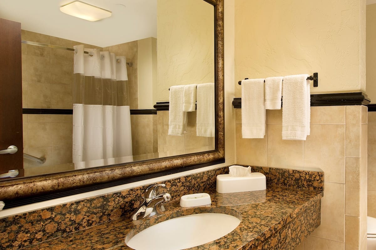 combined shower/bathtub, free toiletries, hair dryer, towels