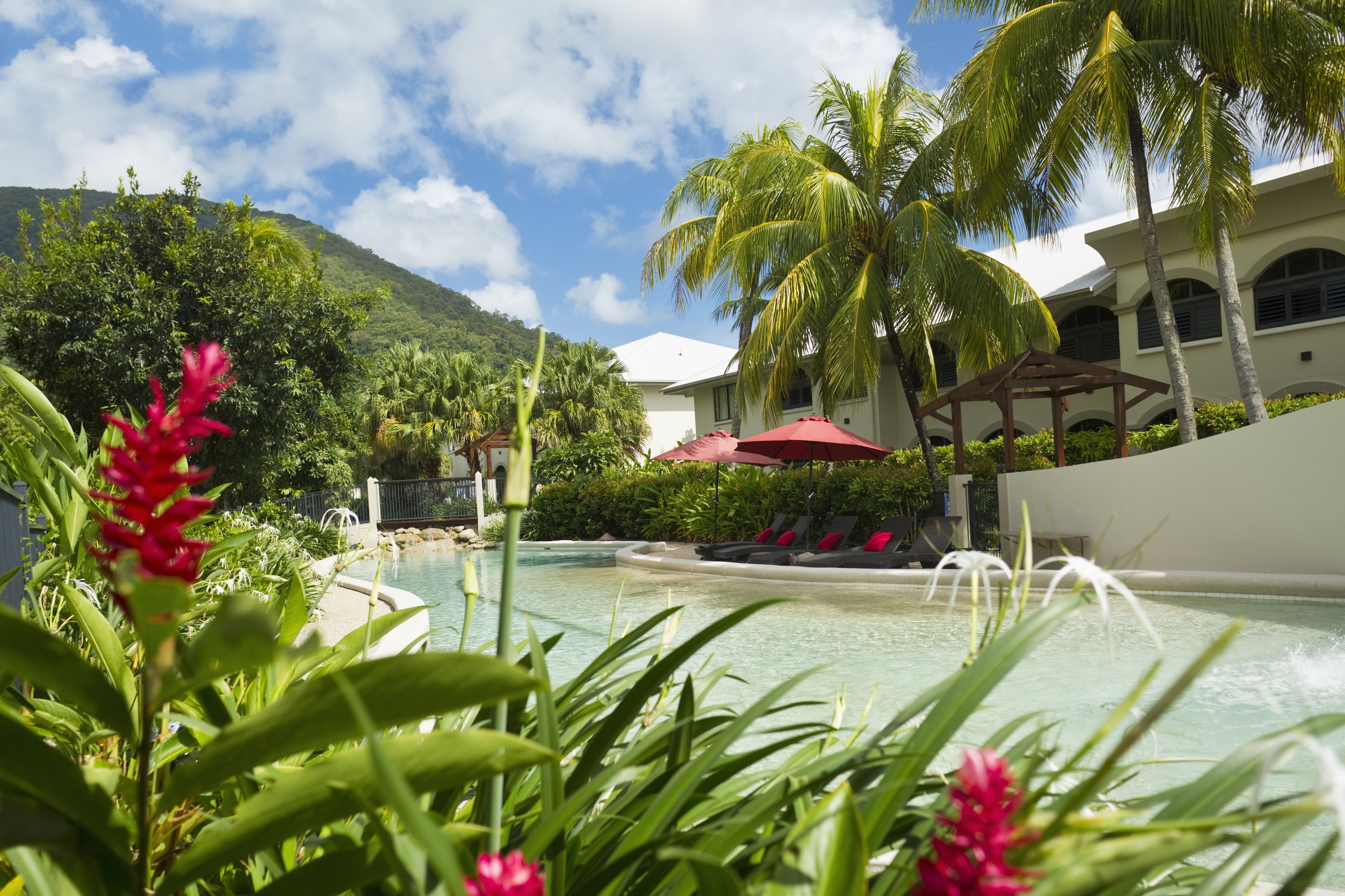 A pool area with palm trees, a gazebo, and a mountain in the background.