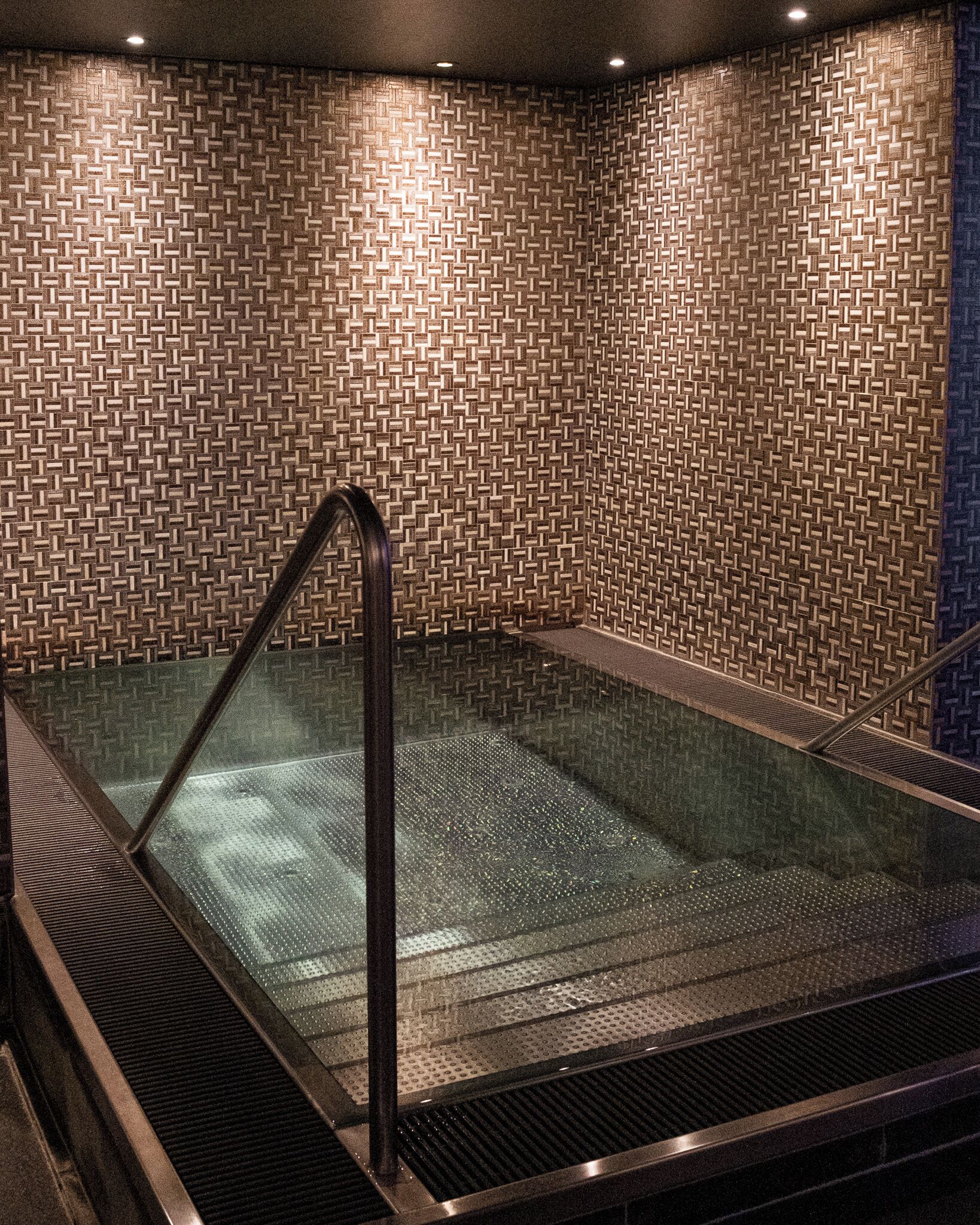 A glass-enclosed hot tub with a textured wall pattern, metal railings, and a ceiling with recessed lighting.