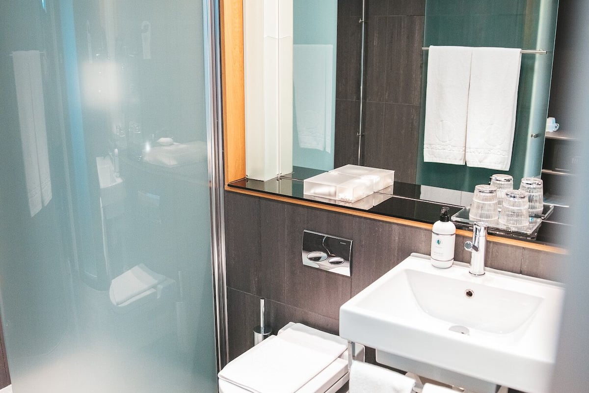 deluxe room, 1 king bed, terrace, park view (excluding pool club) | bathroom | free toiletries, hair dryer, slippers, towels