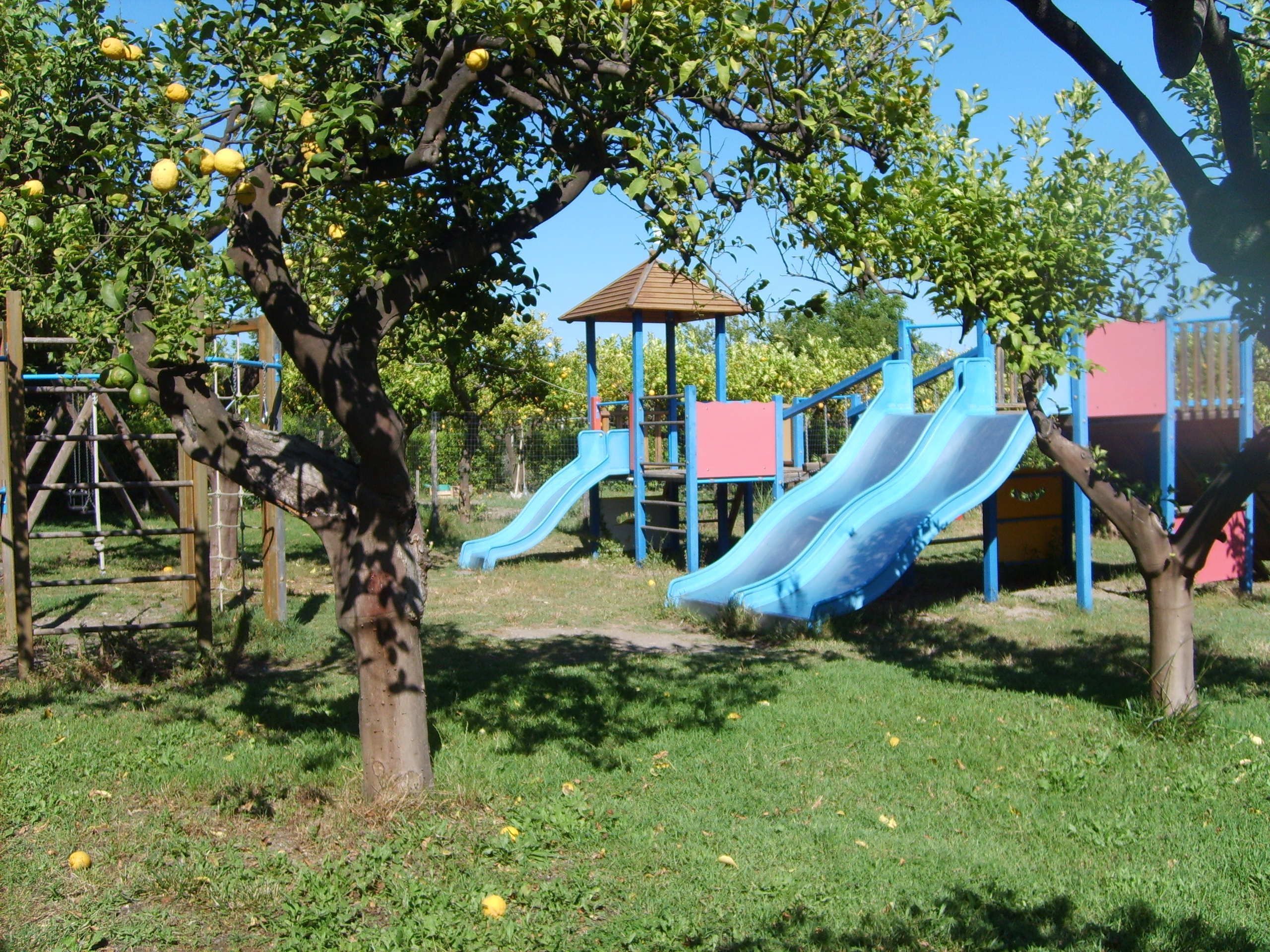 Photo - Agriturismo Terrenia