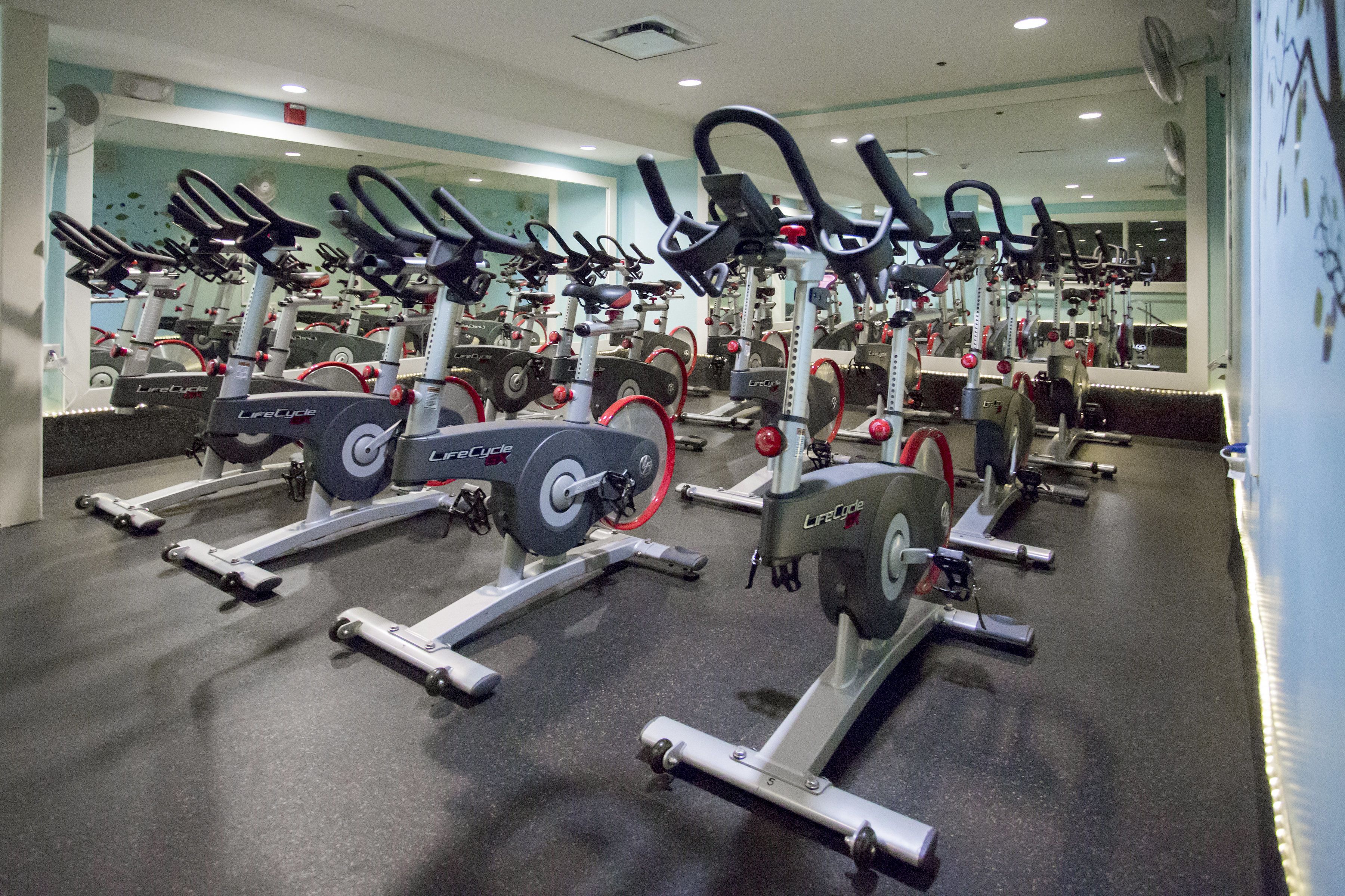 Un gimnasio con varias bicicletas estáticas y equipo cardiovascular.