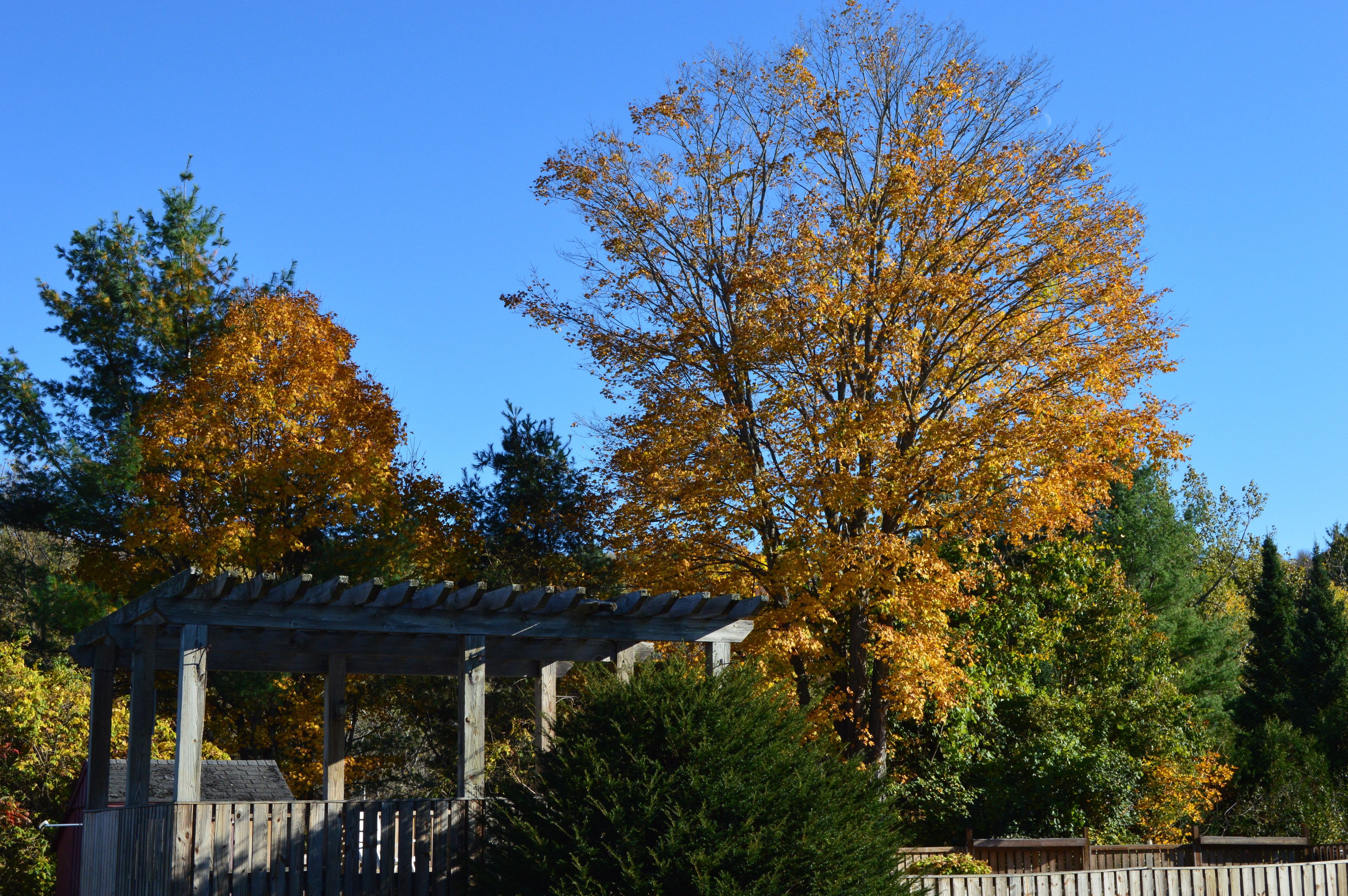 Habitación Deluxe, 1 cama de matrimonio grande | Vistas del balcón