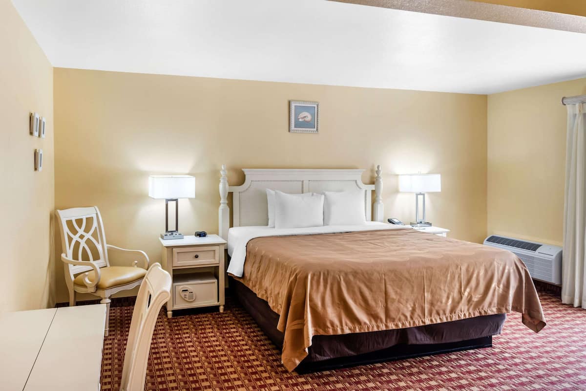 Suite, 1 King Bed, Non Smoking | Desk, iron/ironing board, free cribs/infant beds, free WiFi