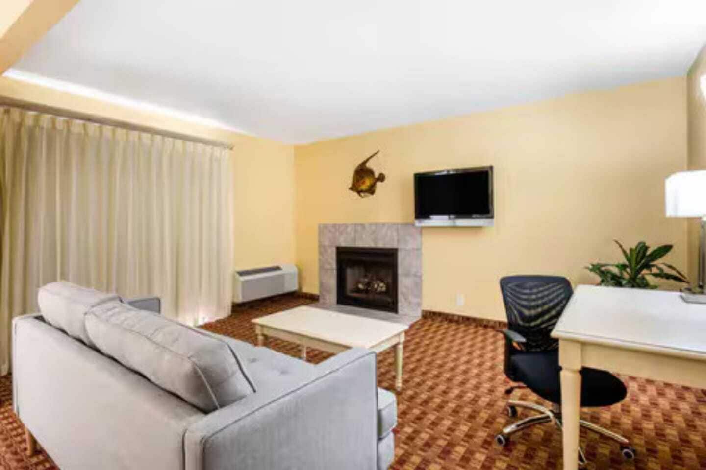 A hotel room with a sofa, a small table, a fireplace, a TV, and a plant.