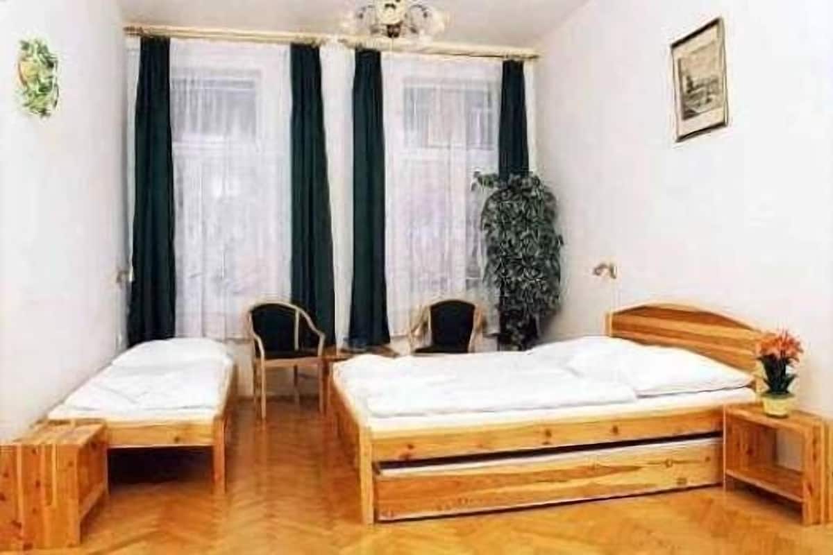 A room with two wooden beds, a chair, a small table, and a potted plant.