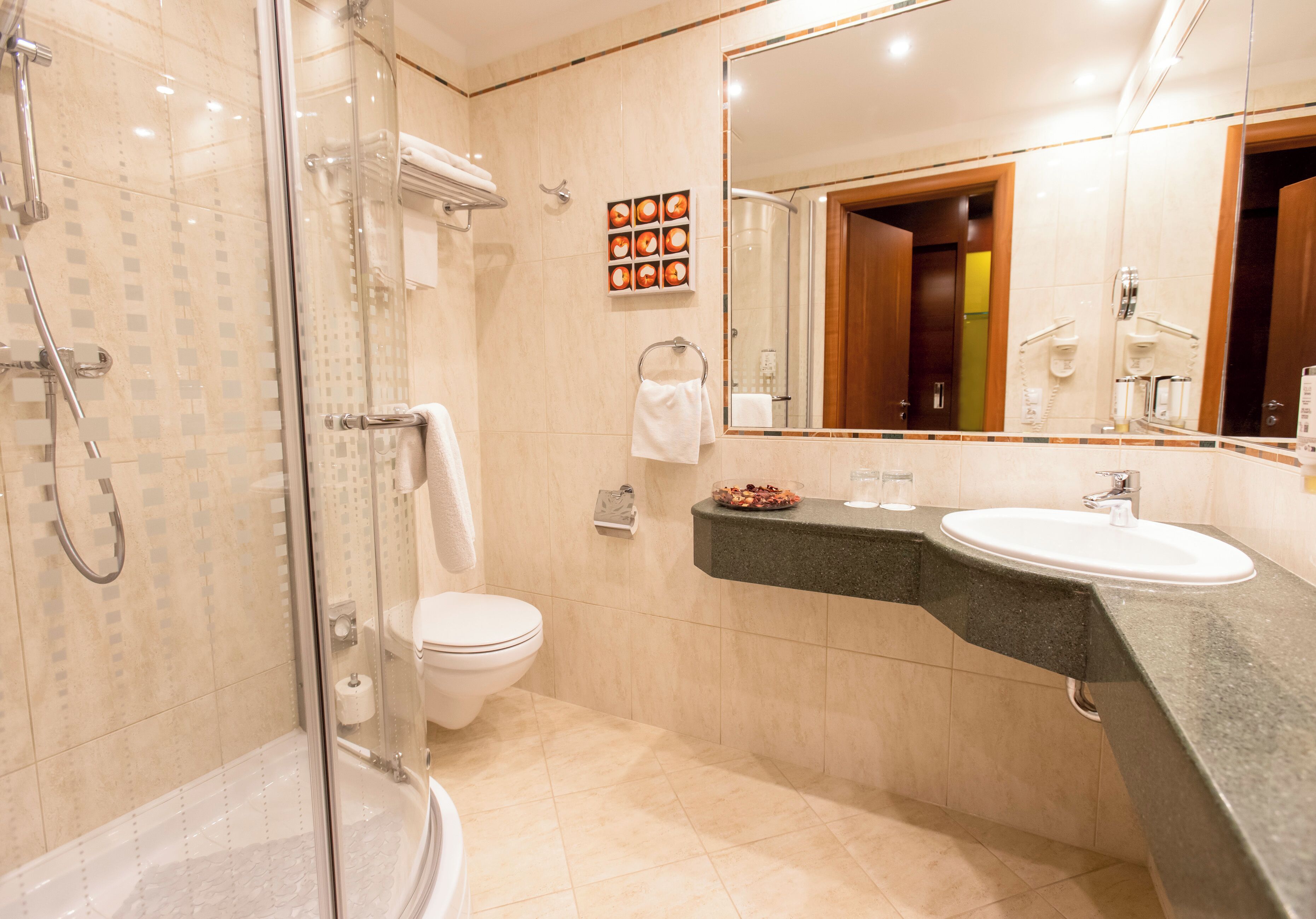 shower, hair dryer, bathrobes