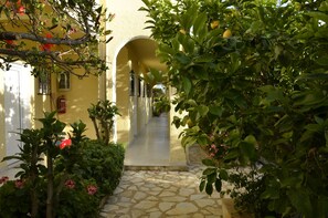Garden - Konstantina Apartments (Corfu)