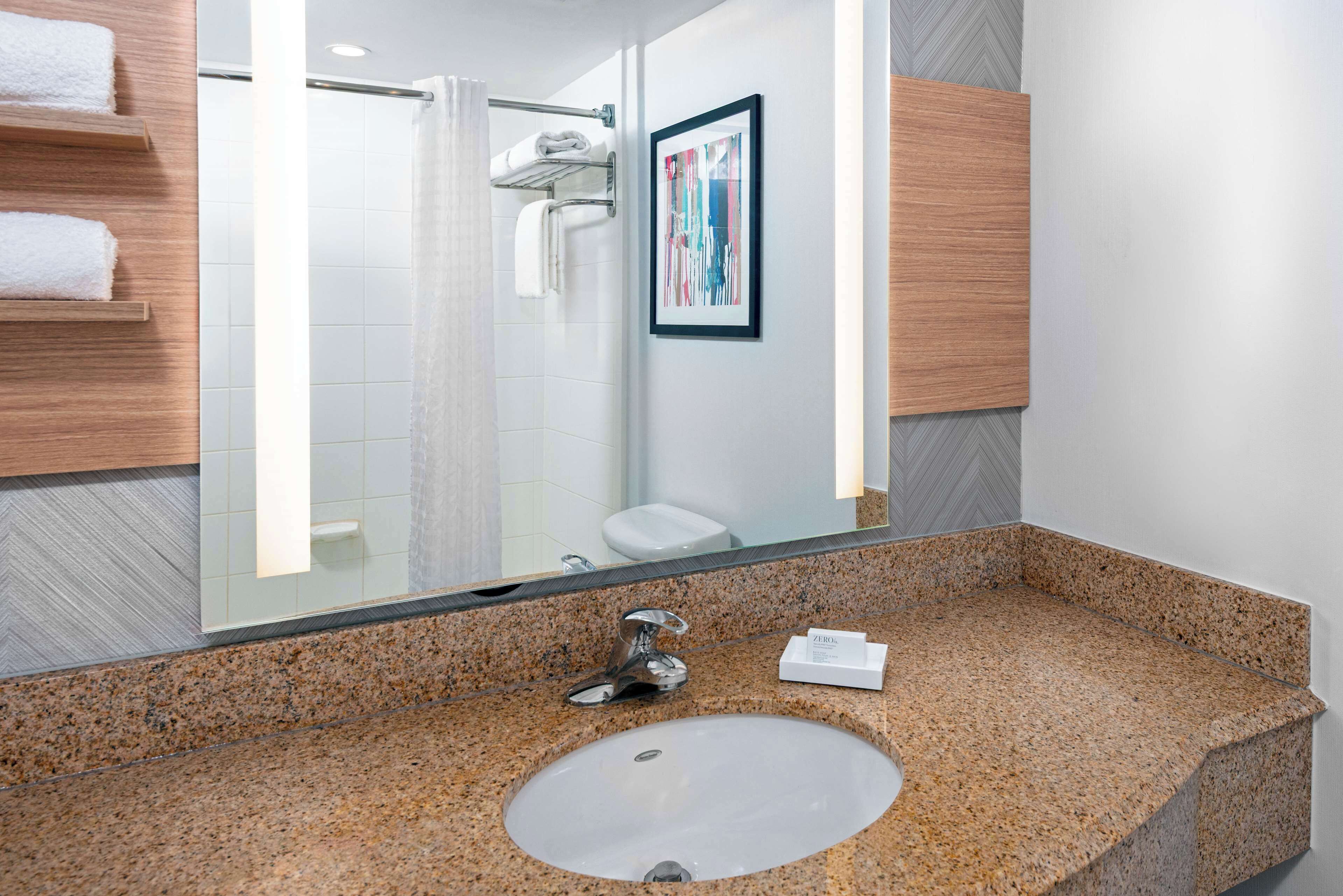 A bathroom with a granite countertop sink, a mirror, a framed artwork, and a shower area.