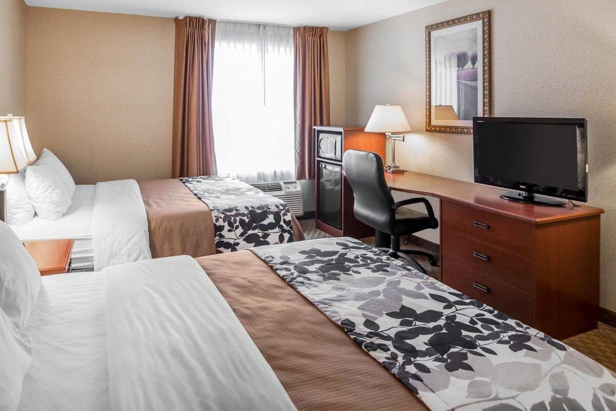 Standard Room, 2 Queen Beds, Non Smoking | Desk, iron/ironing board, rollaway beds (surcharge), WiFi (free)