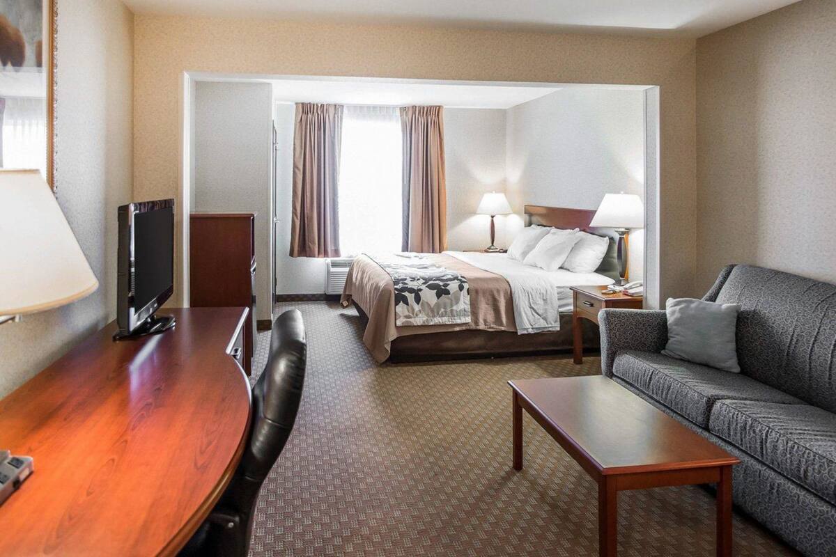Suite, 1 King Bed, Non Smoking | Desk, iron/ironing board, rollaway beds (surcharge), WiFi (free)