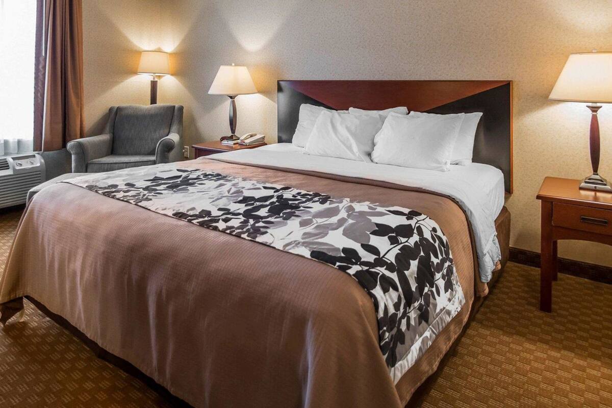 Standard Room, 1 King Bed, Non Smoking | Desk, iron/ironing board, rollaway beds (surcharge), WiFi (free)