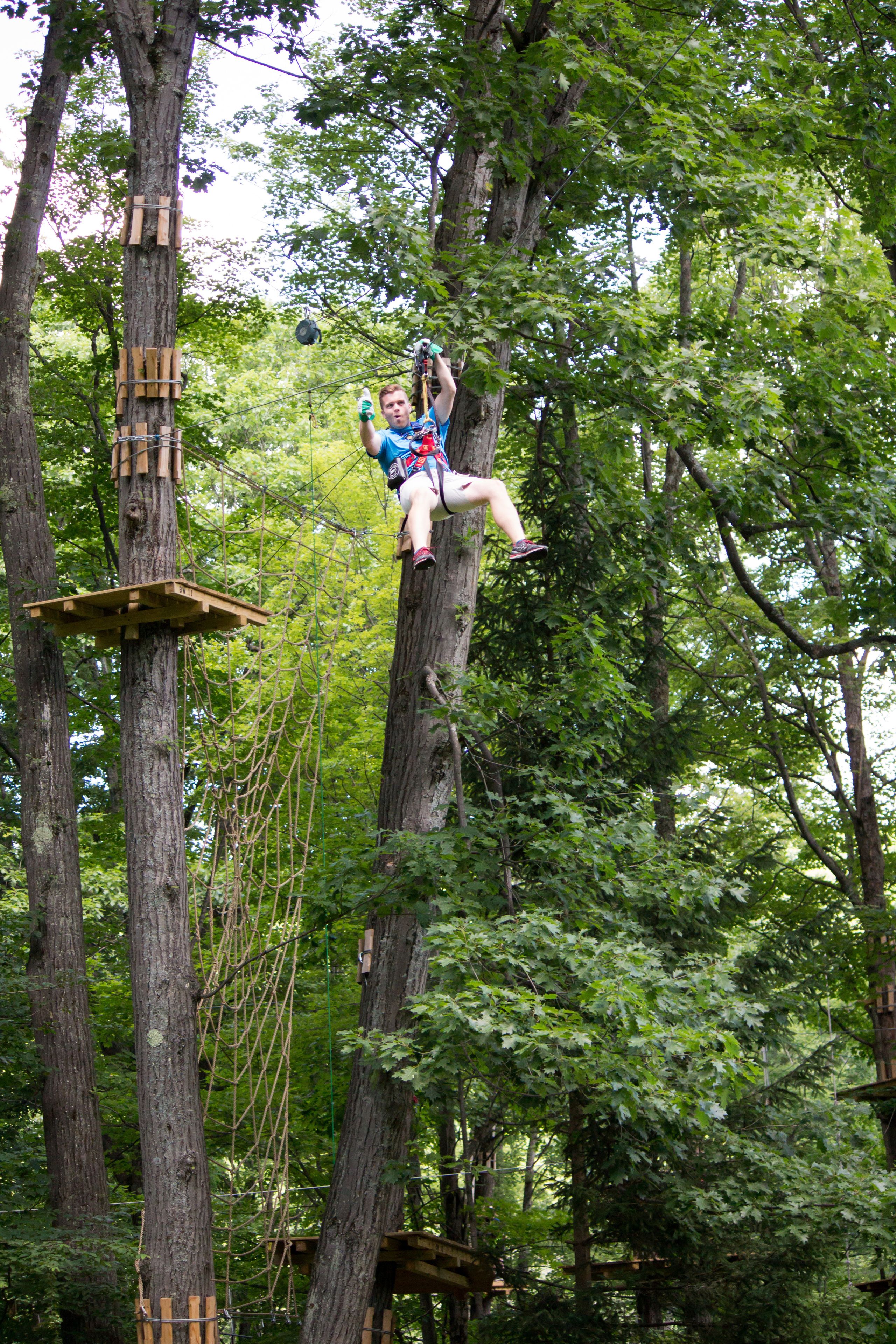 A person on a tree-based obstacle course in a forest.