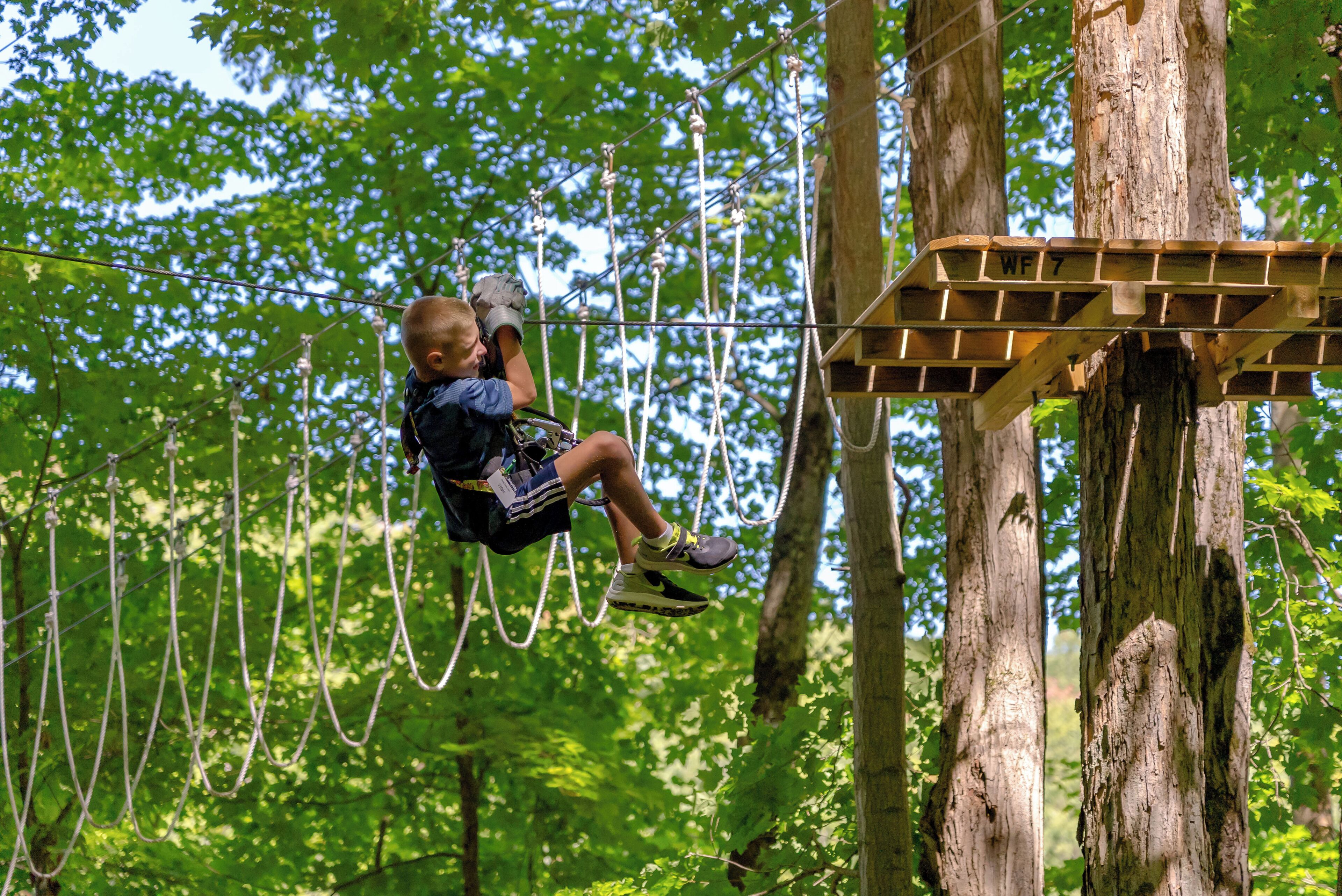 A person suspended on a rope course in a forest.