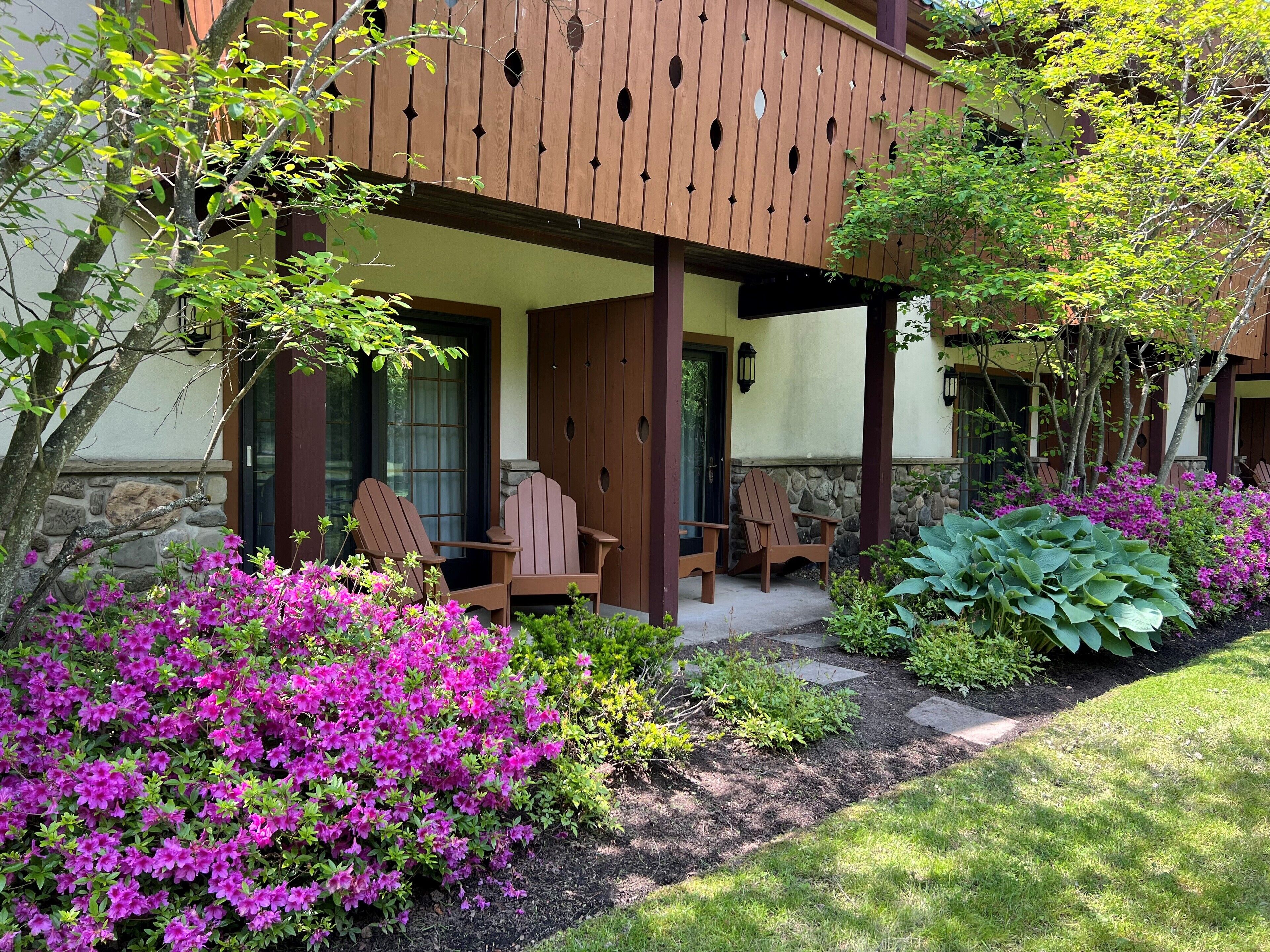 テラス / パティオ