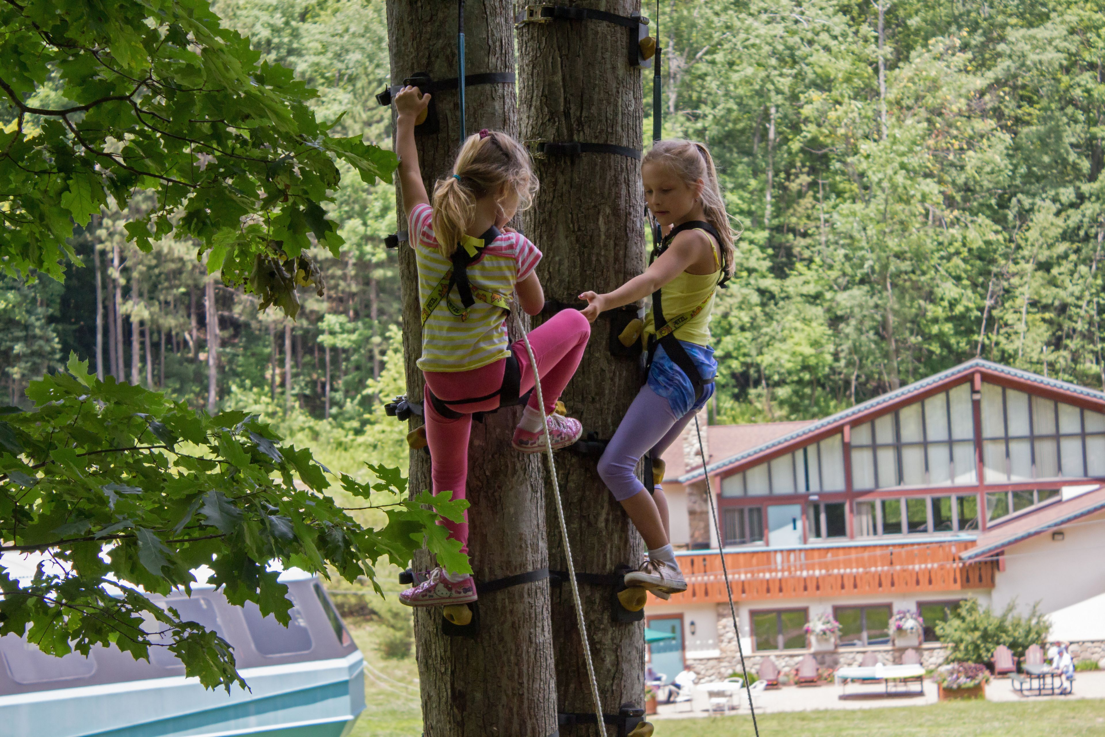 Two children climbing a tree with safety harnesses.