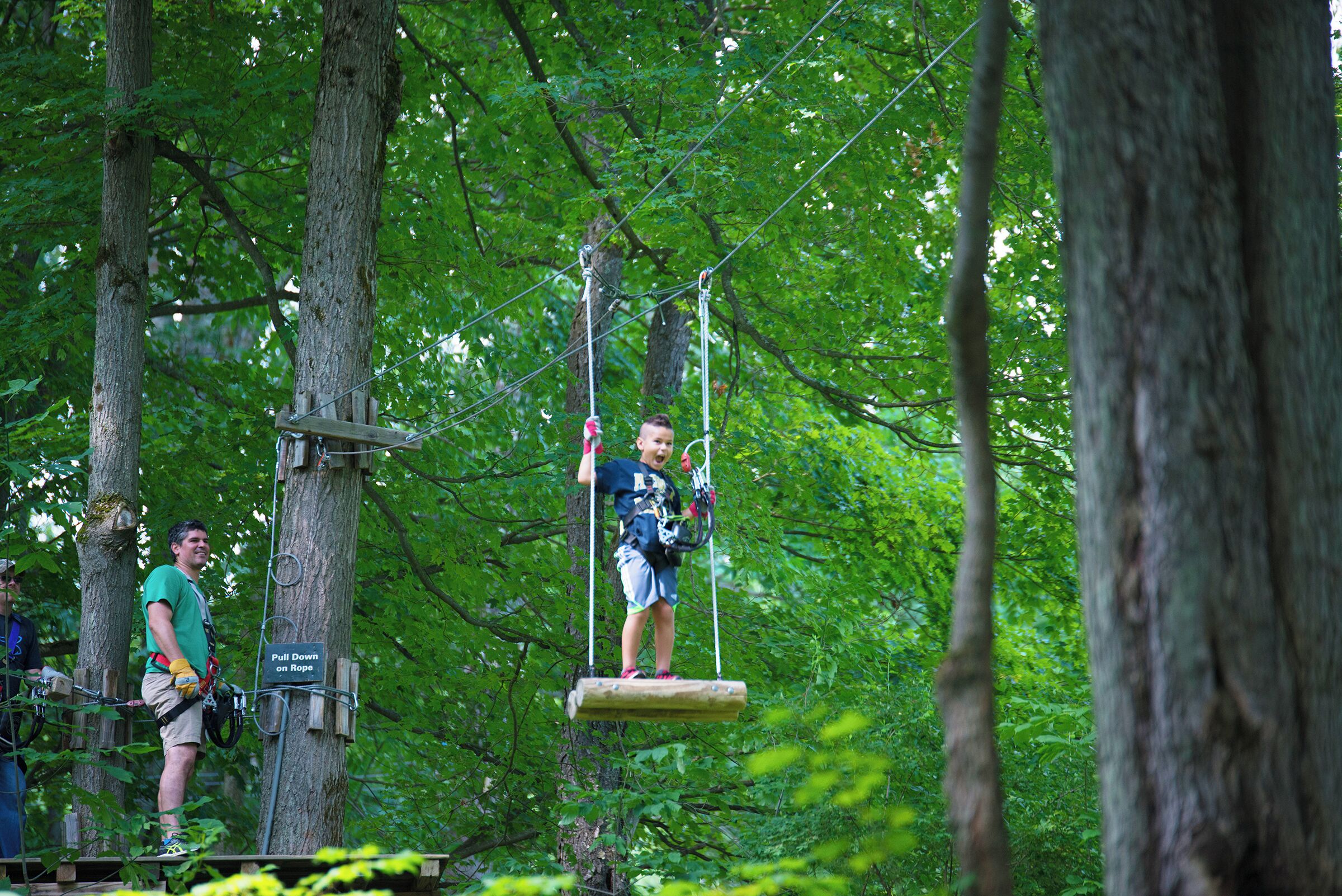 A person on a suspended swing in a wooded area with trees and a rope system.