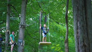 A person on a suspended swing in a wooded area with trees and a rope system.