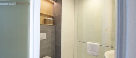 A modern bathroom with a glass-enclosed shower, a toilet, and a sink.