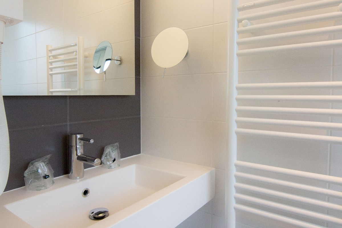 standard double room | bathroom sink