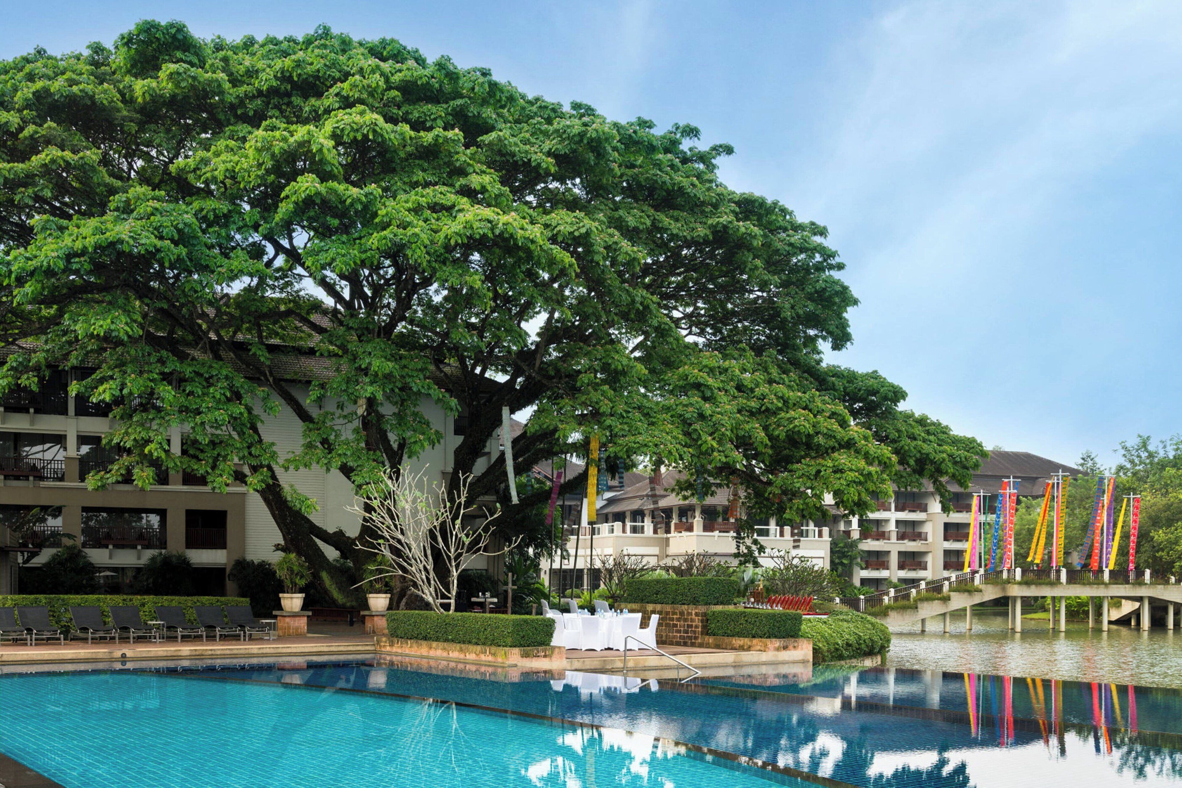 Une piscine avec un grand arbre au premier plan, un pont orné de drapeaux et un bâtiment avec des balcons en arrière-plan.