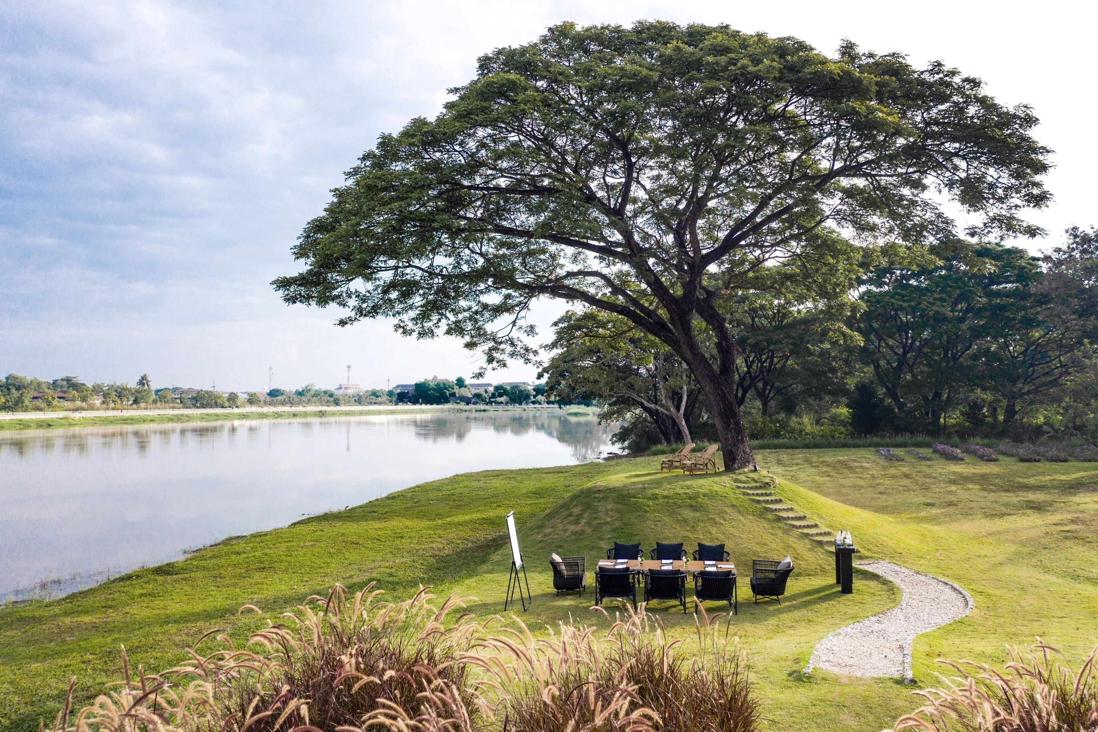 A lakeside outdoor seating area with a large tree, a grassy lawn, and a view of the lake.