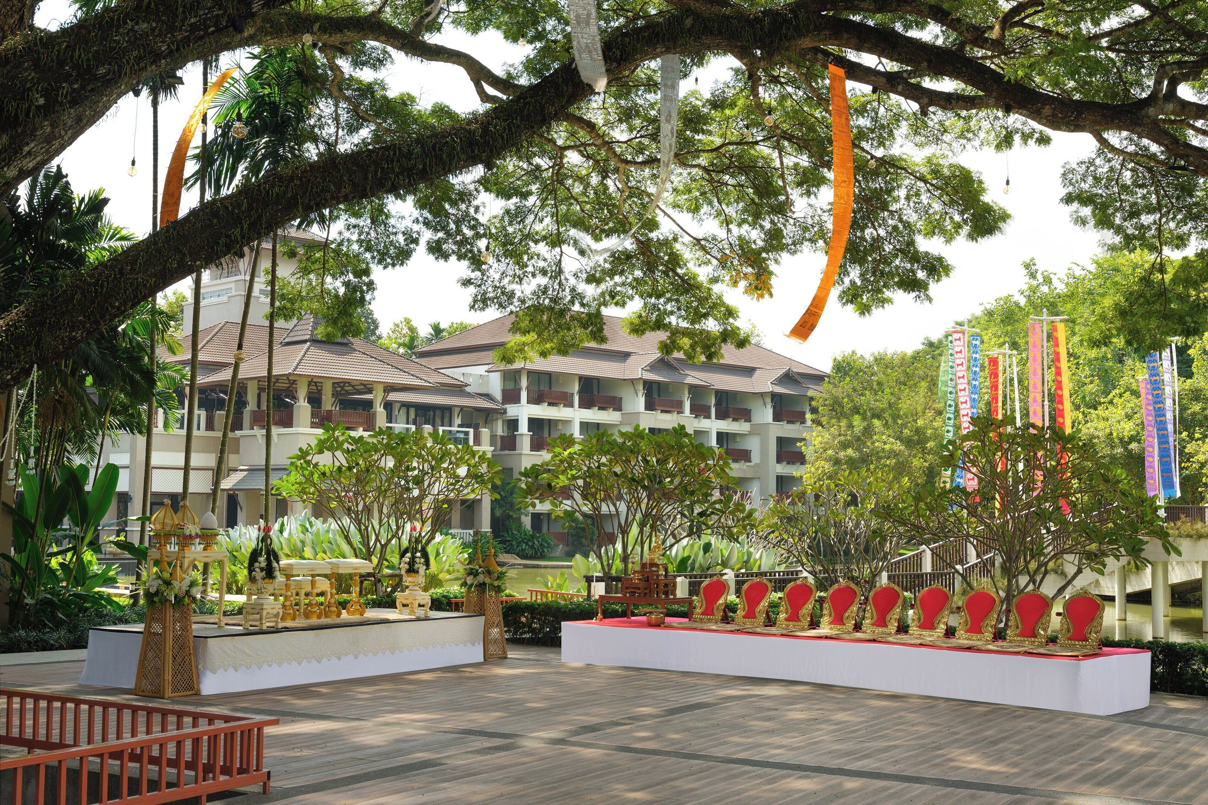 Un patio de hotel con un escenario, asientos y un árbol grande.