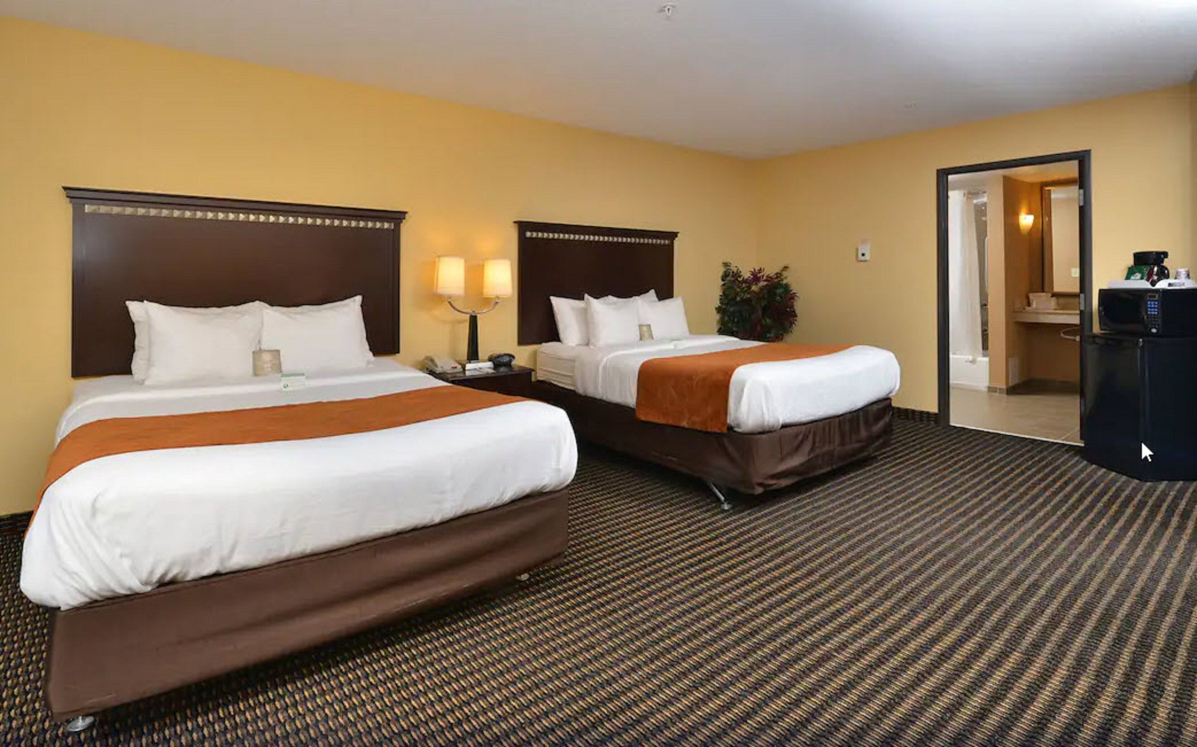A hotel room with two beds, a nightstand with a lamp, a microwave, and a small plant.
