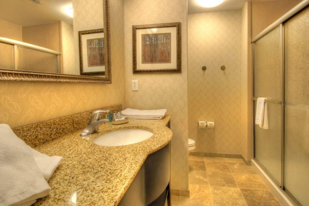 free toiletries, hair dryer, towels