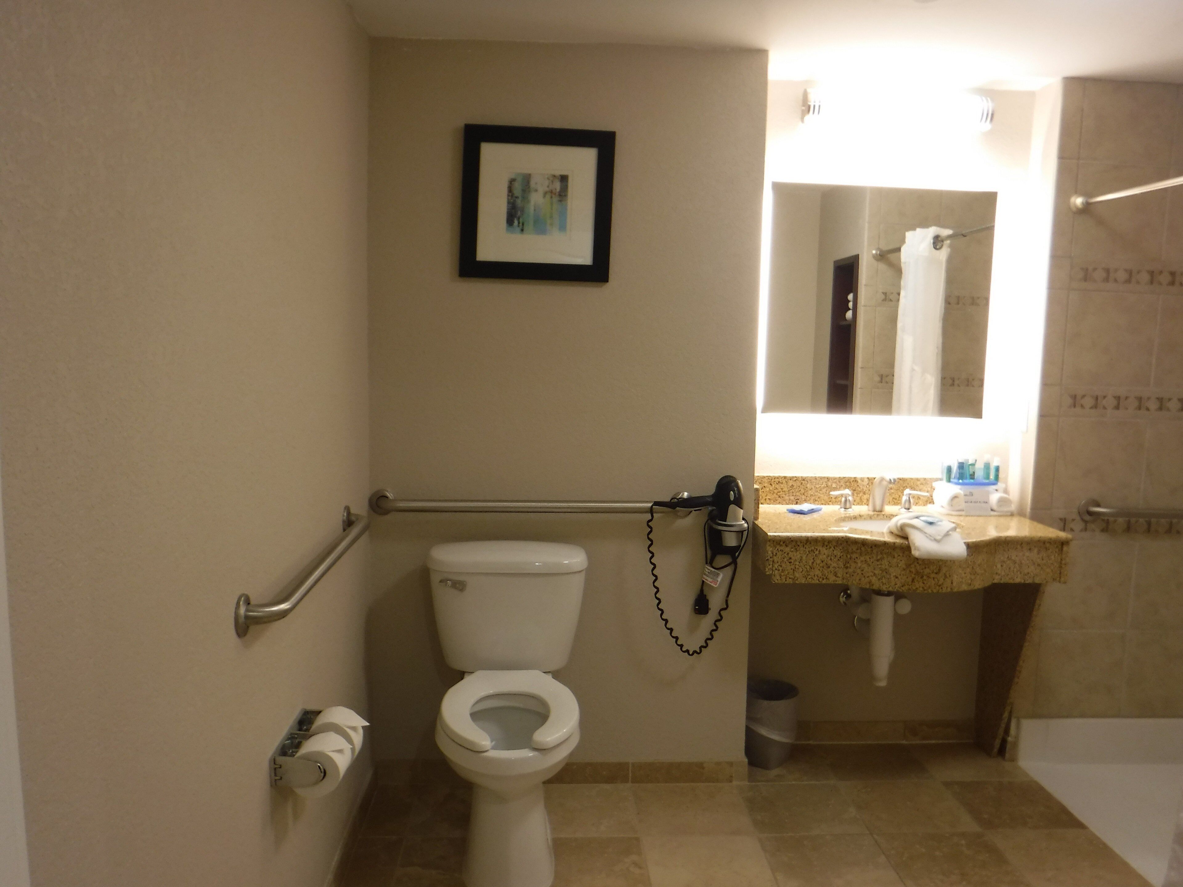 A bathroom with a toilet, a handrail, a sink with toiletries, a mirror, and a picture on the wall.