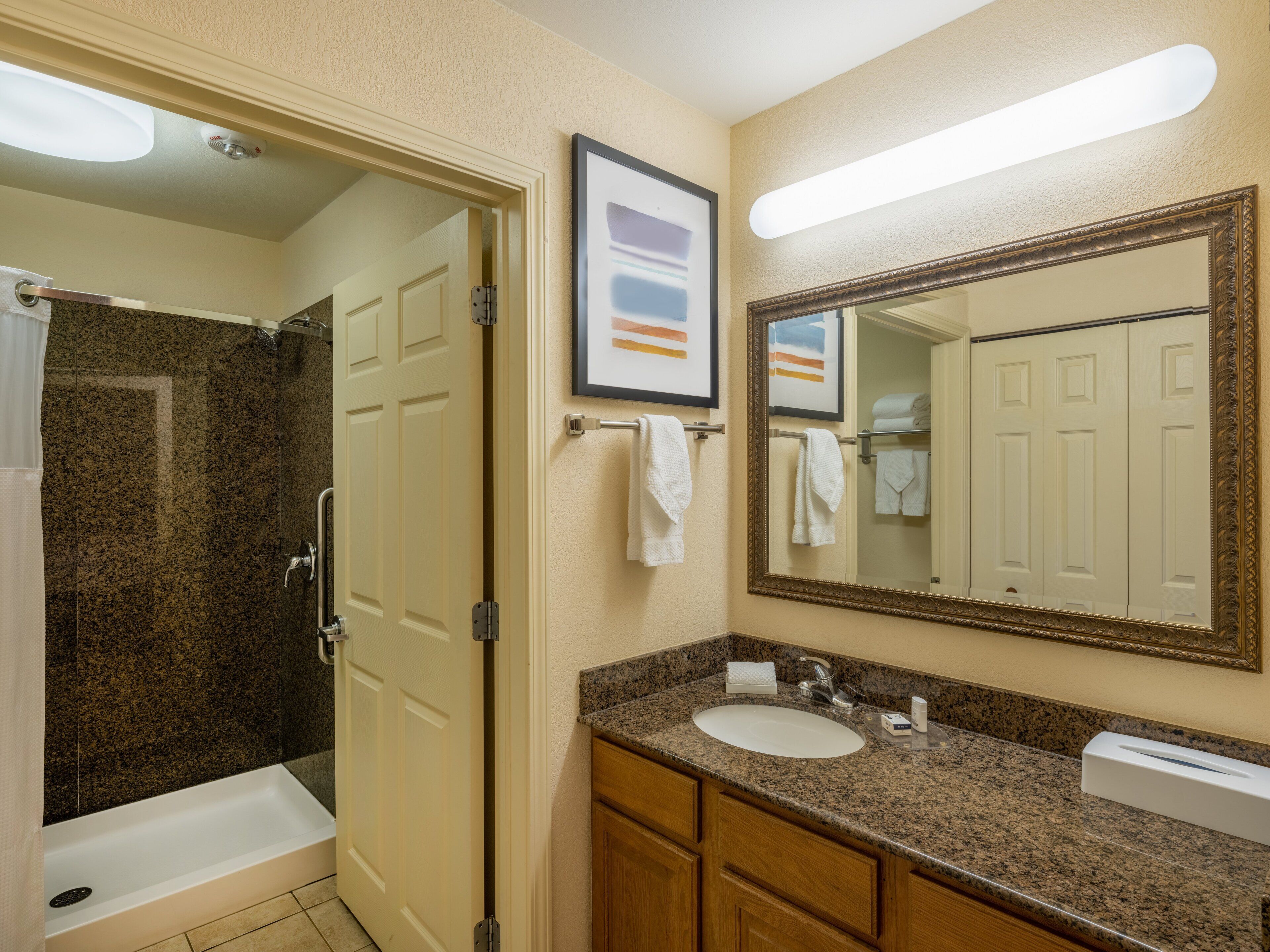 studio suite, 1 queen bed, accessible, kitchen (hearing, roll-in shower) | bathroom | free toiletries, hair dryer, towels, soap
