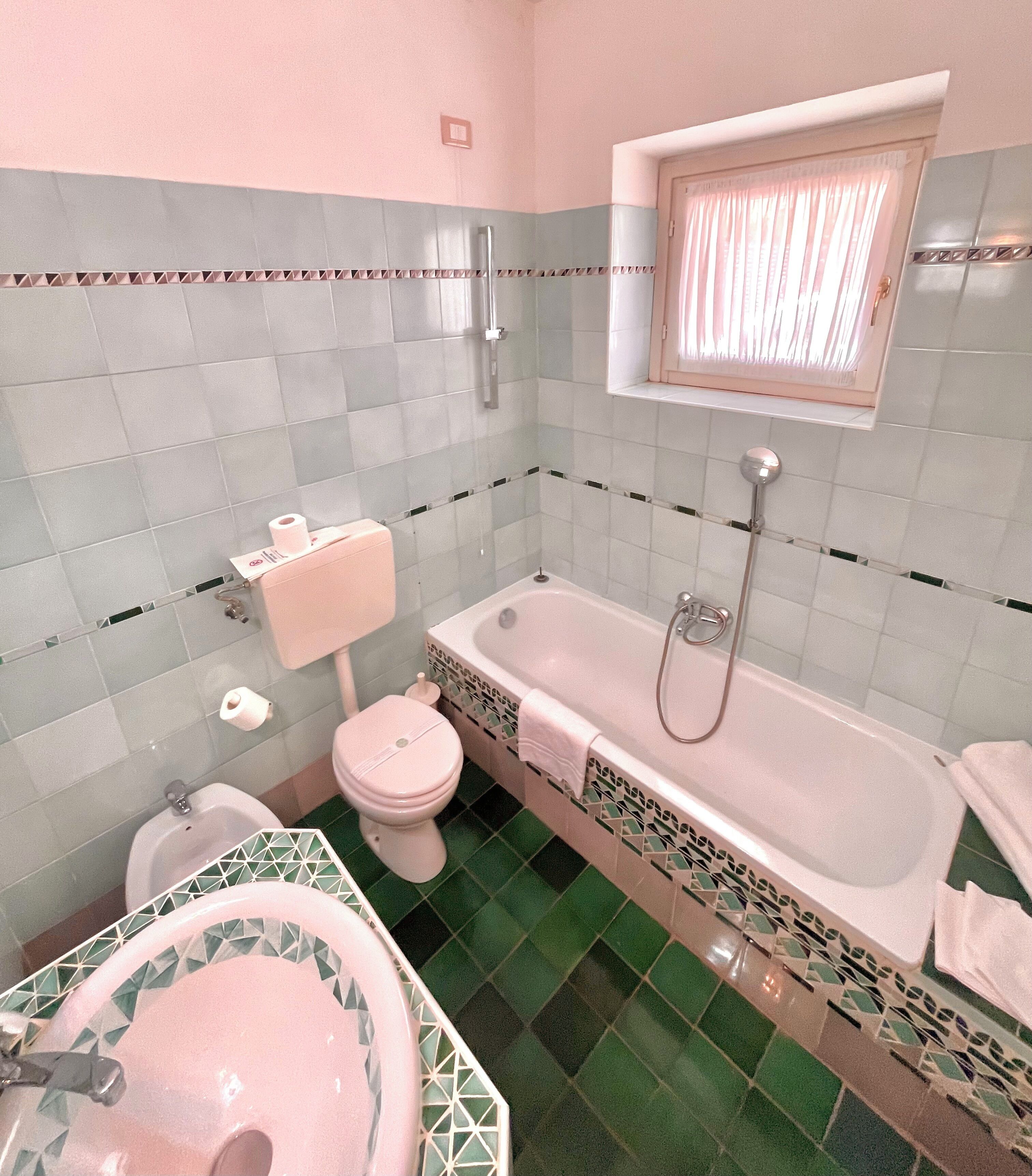 combined shower/bathtub, free toiletries, hair dryer, bidet