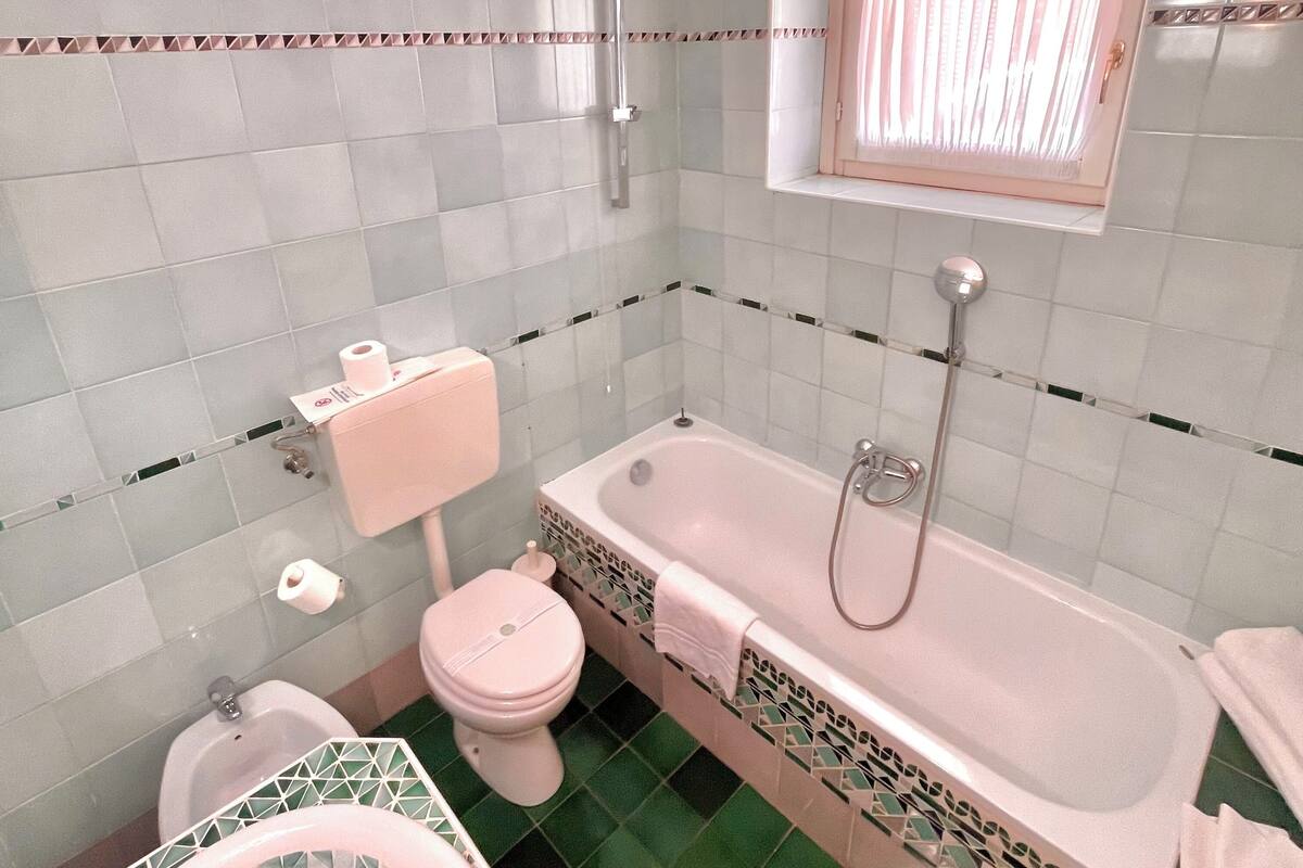combined shower/bathtub, free toiletries, hair dryer, bidet