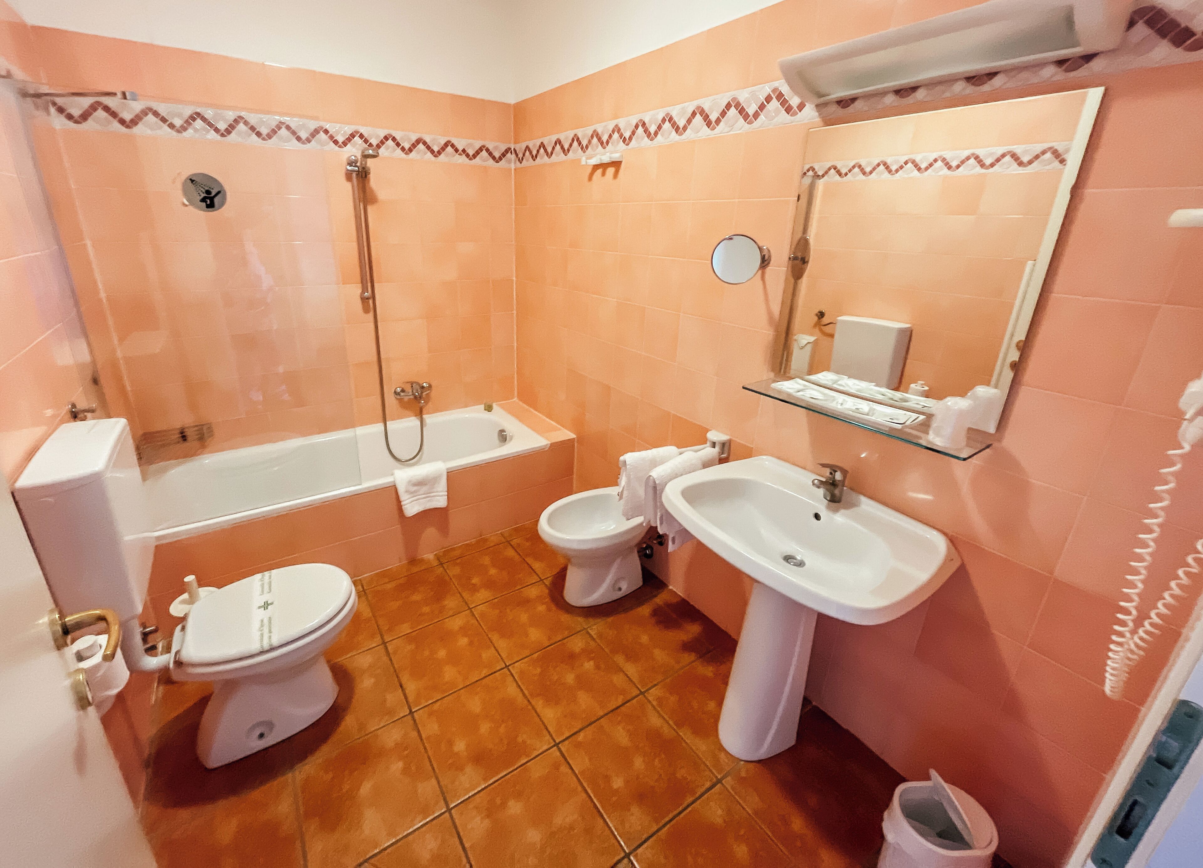 combined shower/bathtub, free toiletries, hair dryer, bidet