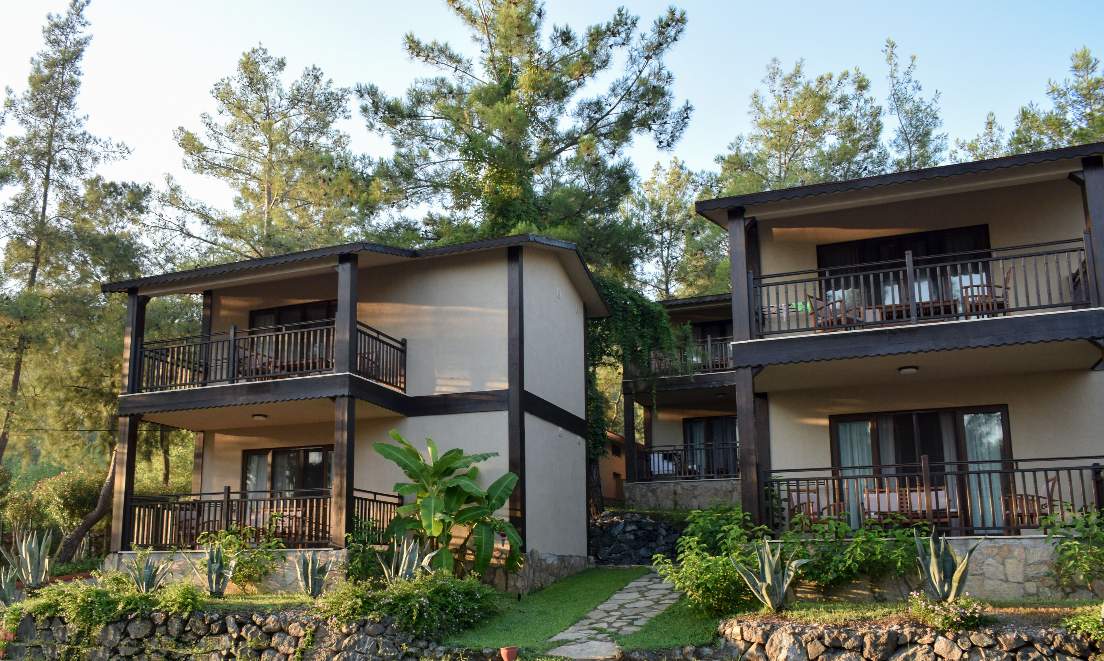 forest room | front of property