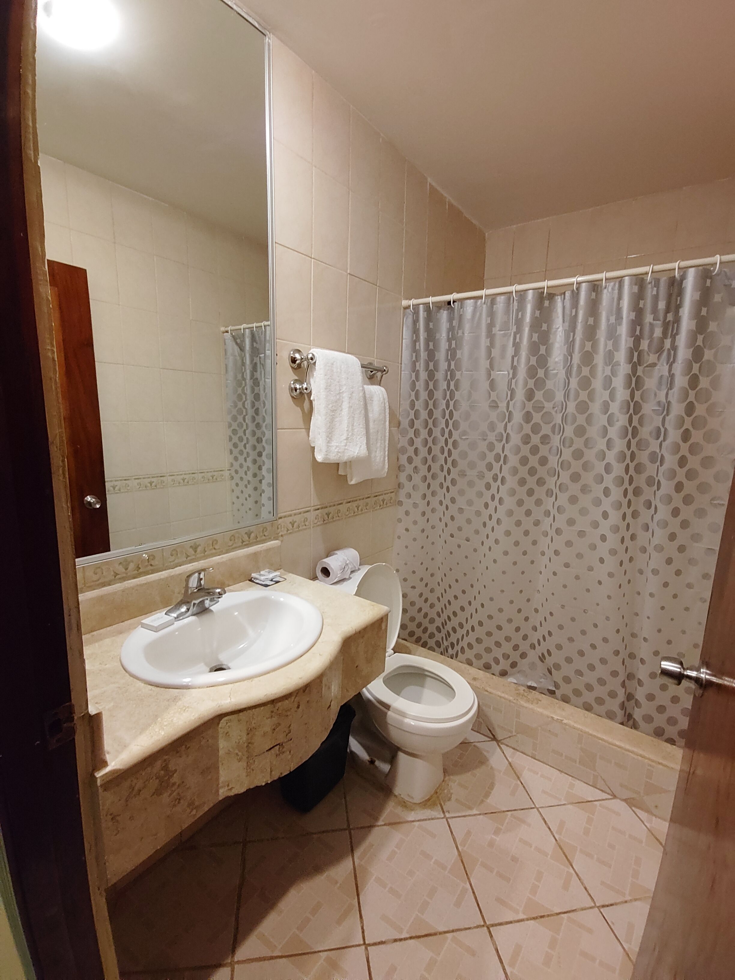 A bathroom with a sink, toilet, and shower curtain.