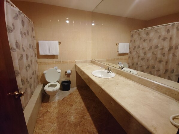A bathroom with a toilet, sink, and mirror.