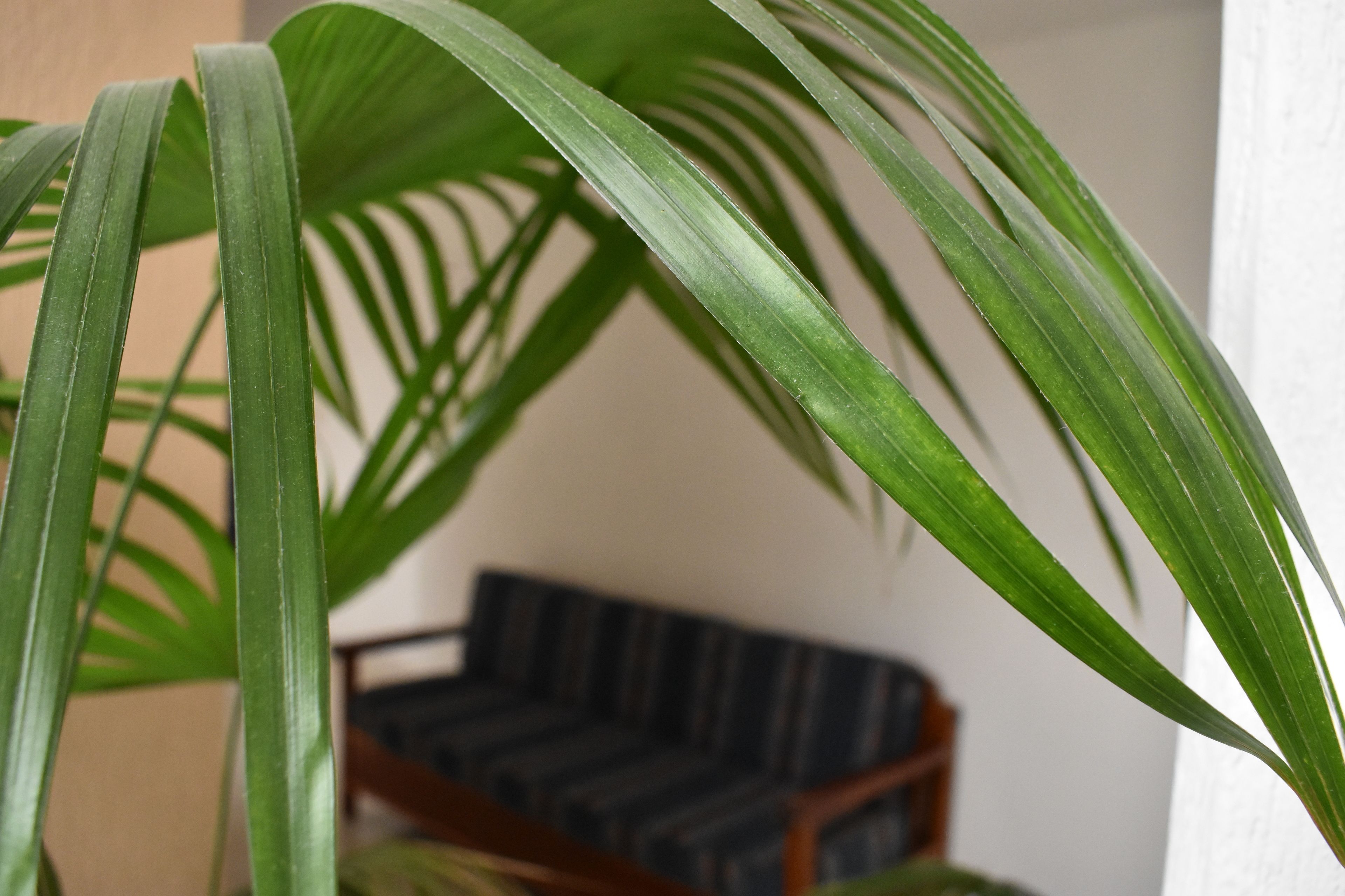 Photo - Hotel Baluarte