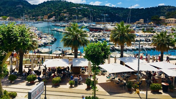 Una marina amb vaixells, palmeres i zones d'estar a l'aire lliure.