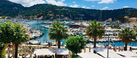 Vista desde la propiedad