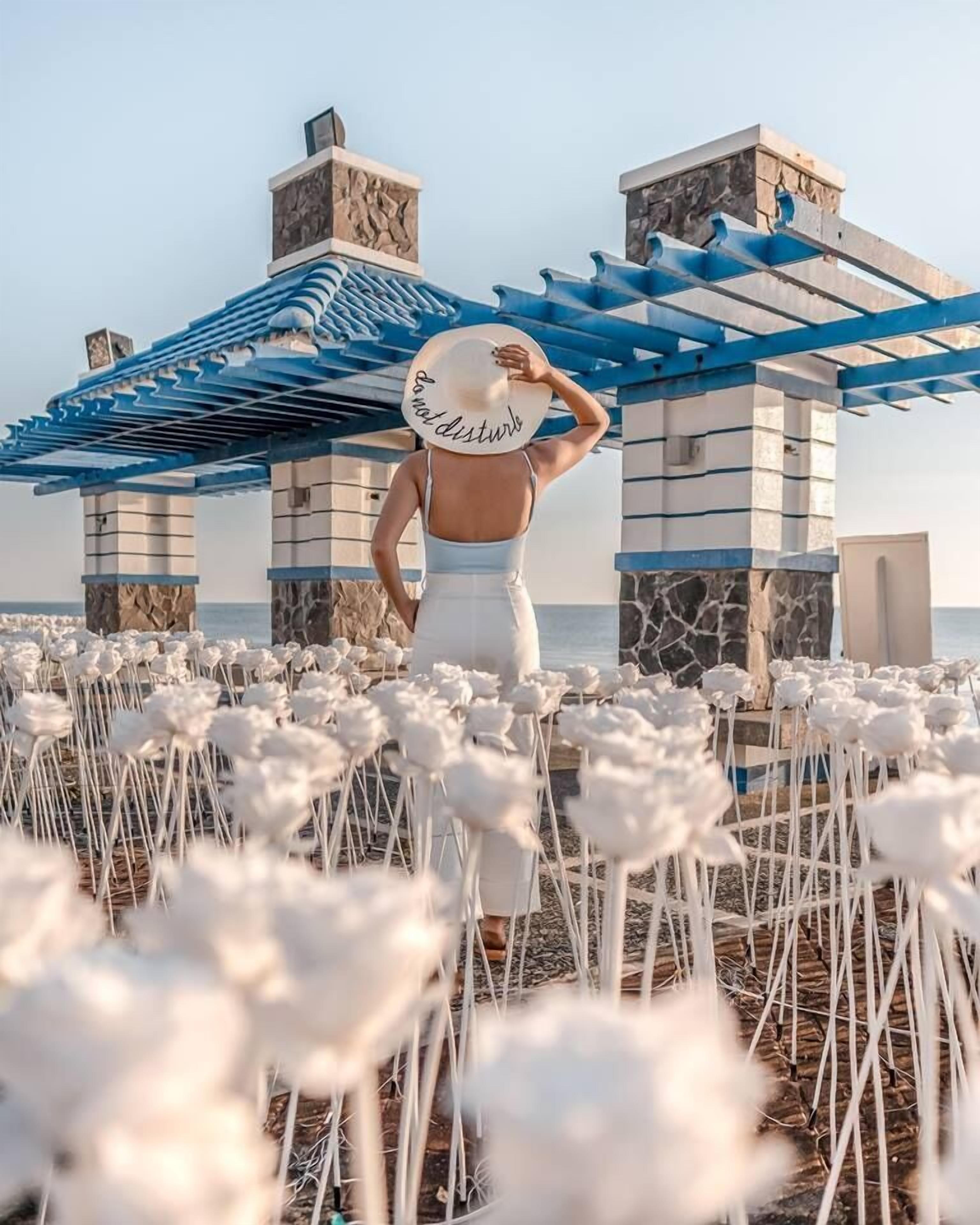 Vistas al campo desde el alojamiento